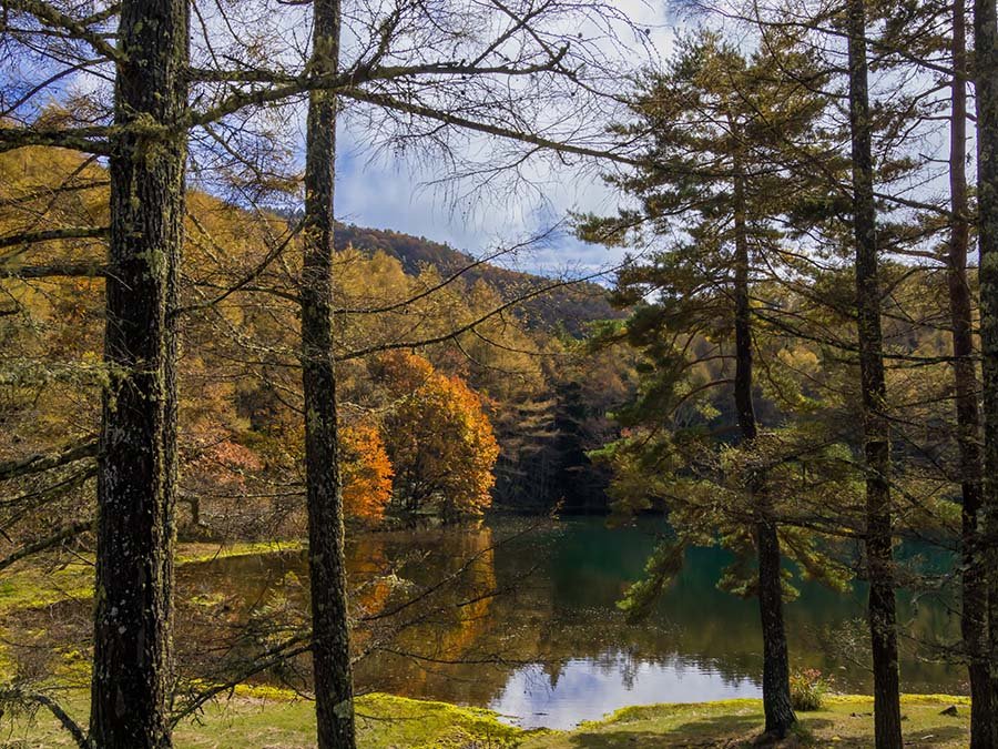 極希少1960年代 白馬/蓼科/斑尾地区◆野尻湖「民芸まよけ(民芸魔除け」白樺材 奥蓼科 御射鹿池の秋【OM-1+12-100,E-M10+LAOWA6】｜borichan | 旅する