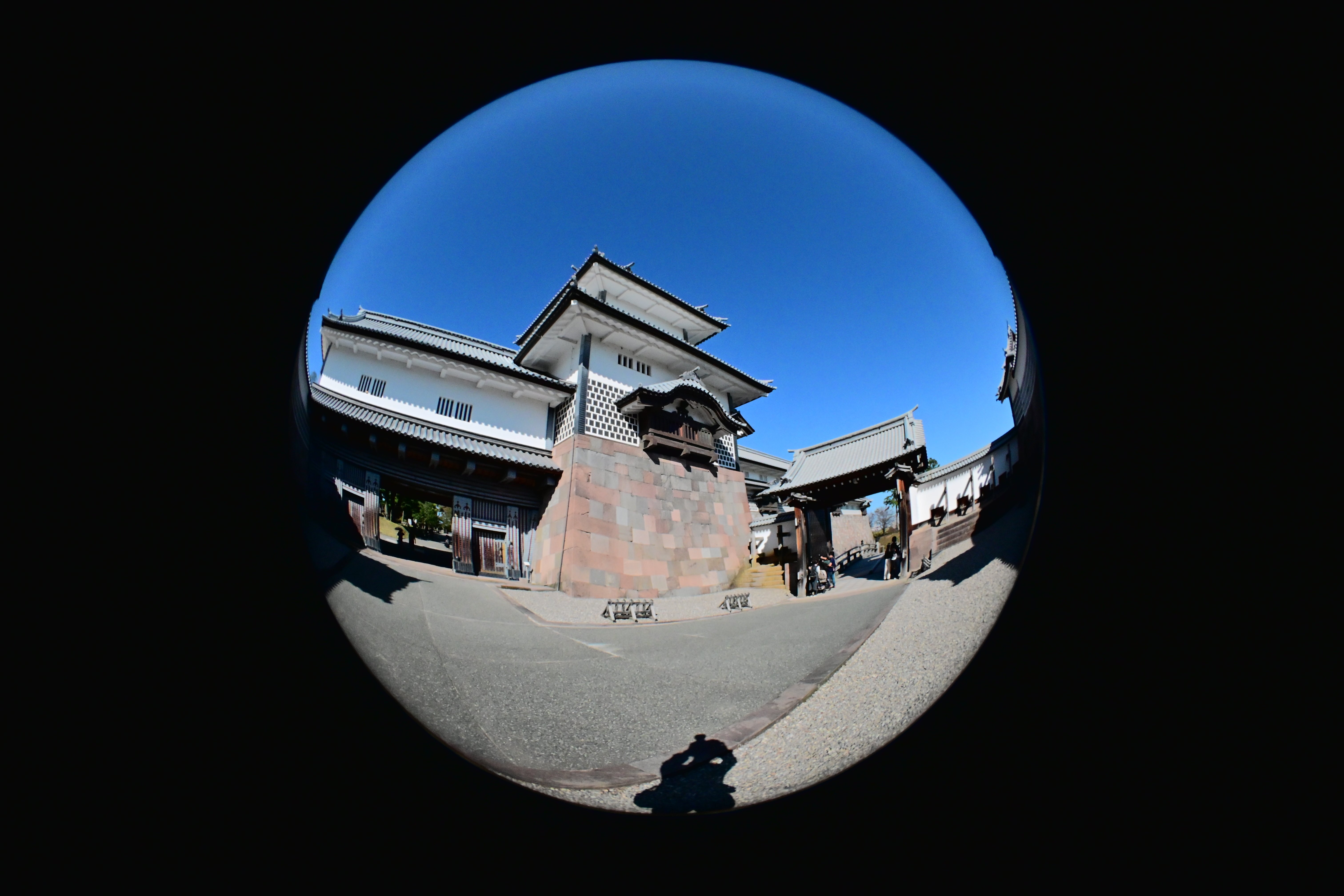 レンズ沼の歩き方」OP Fisheye-NIKKOR 10mm F5.6｜saphirinus