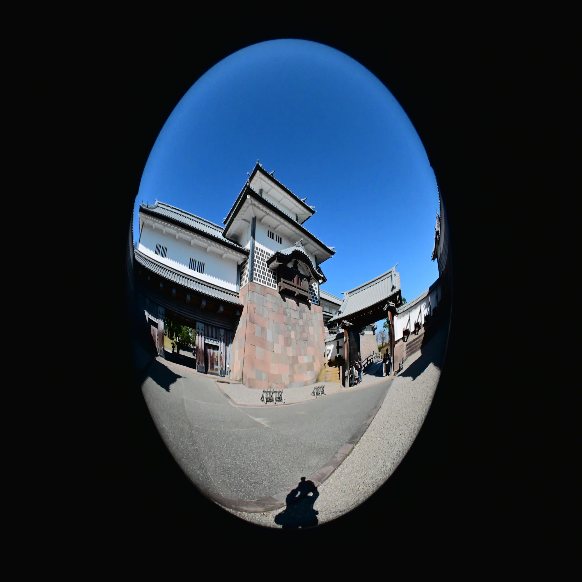 レンズ沼の歩き方」OP Fisheye-NIKKOR 10mm F5.6｜saphirinus