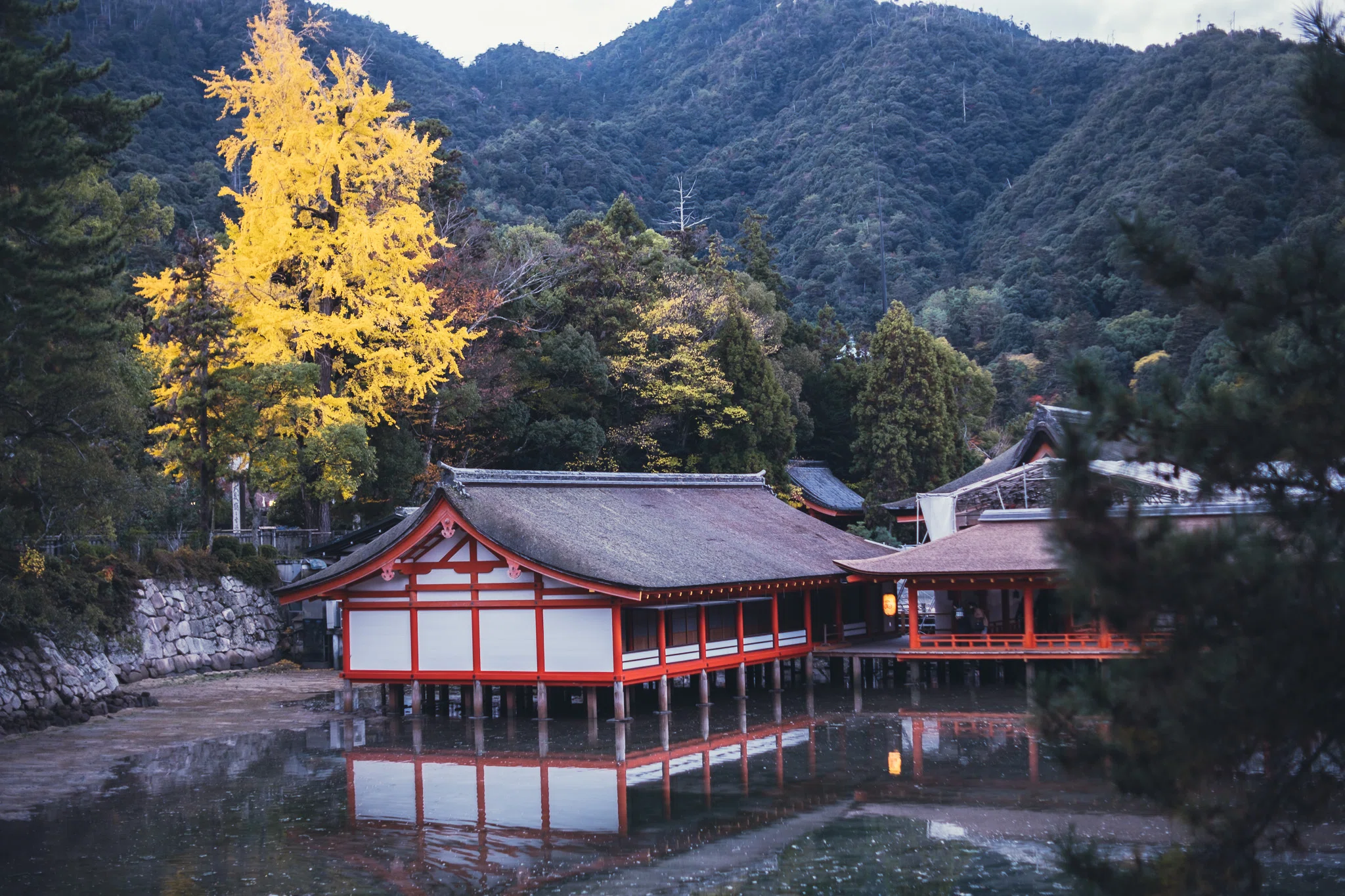 懲りずに紅葉の宮島へ｜Naoya Toyota