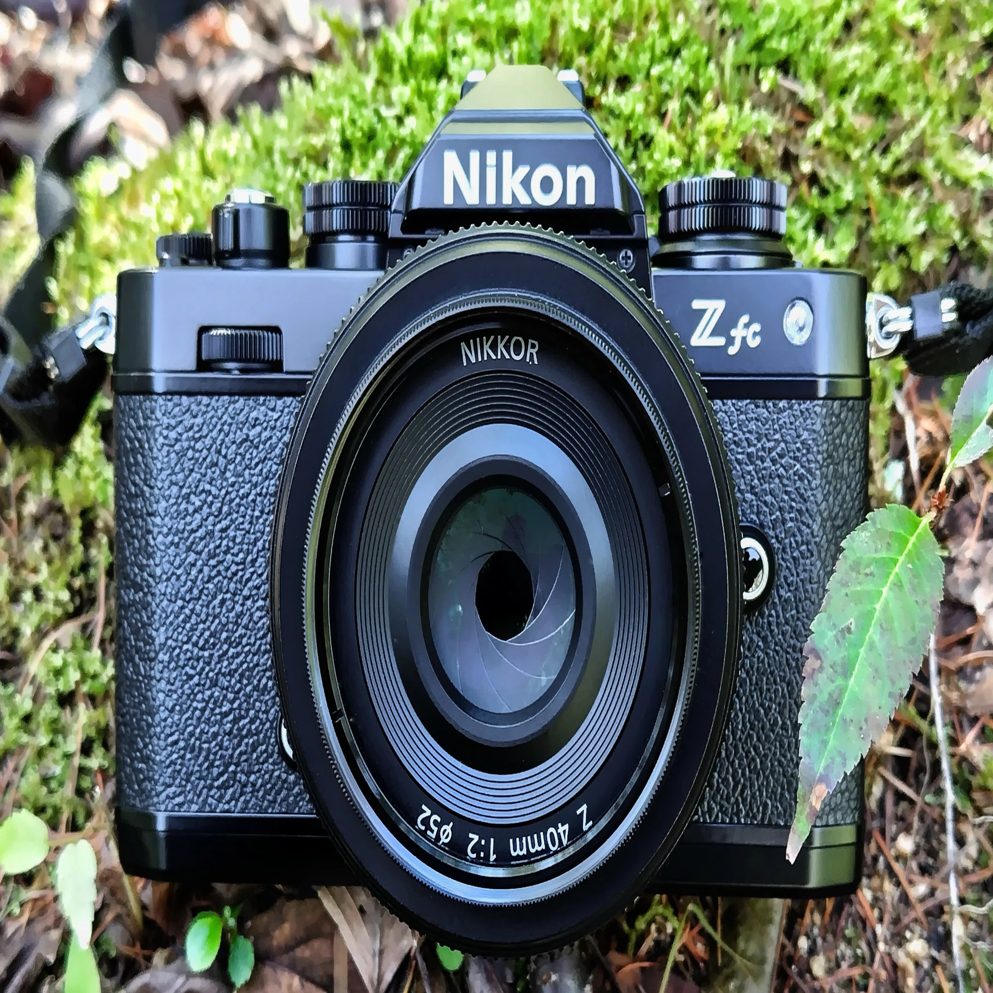 Nikon Zfc 買いました｜kazukame12