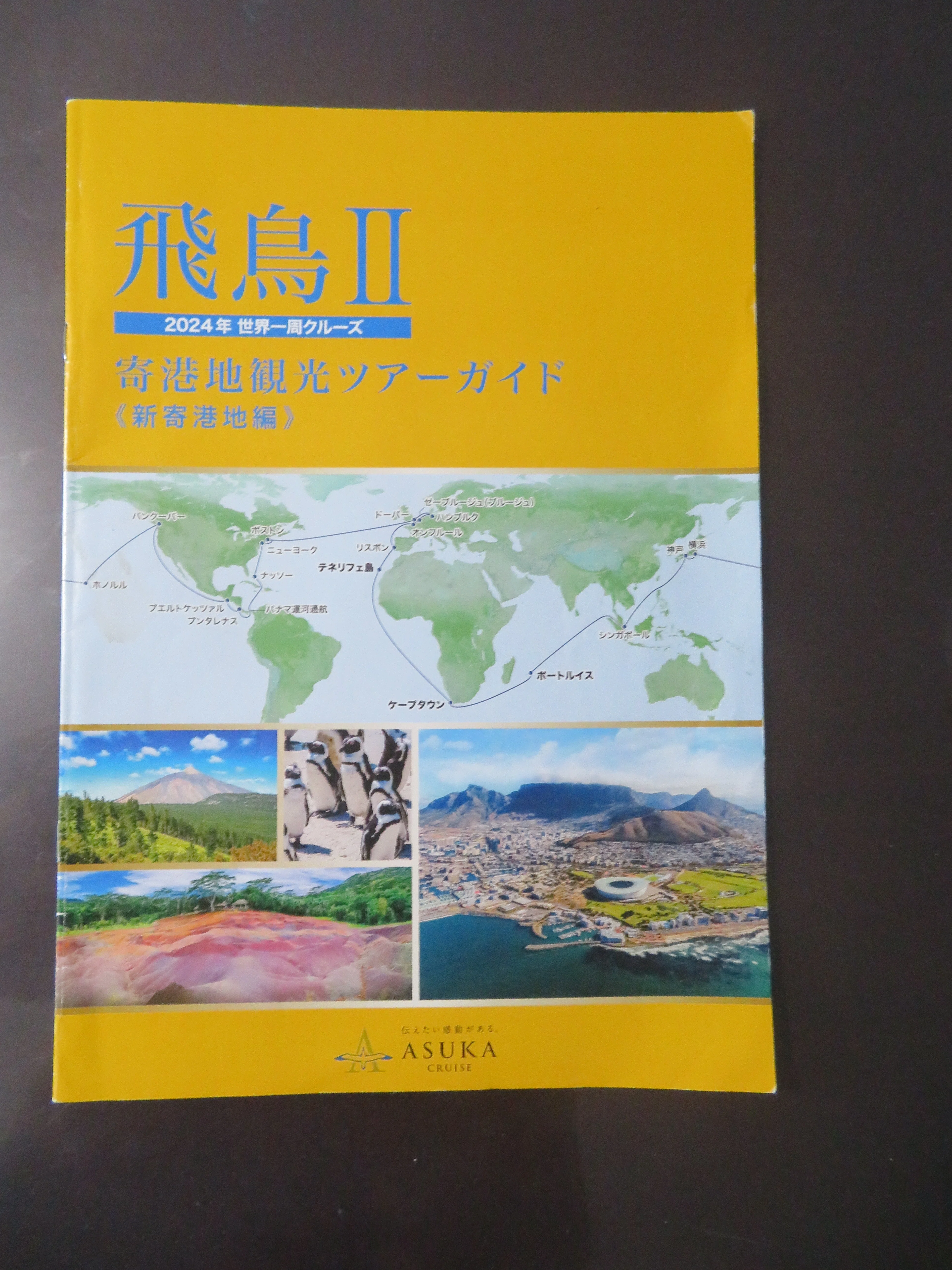 申し込み予定だった過去のスケジュールや2024年飛鳥Ⅱ世界一周クルーズ