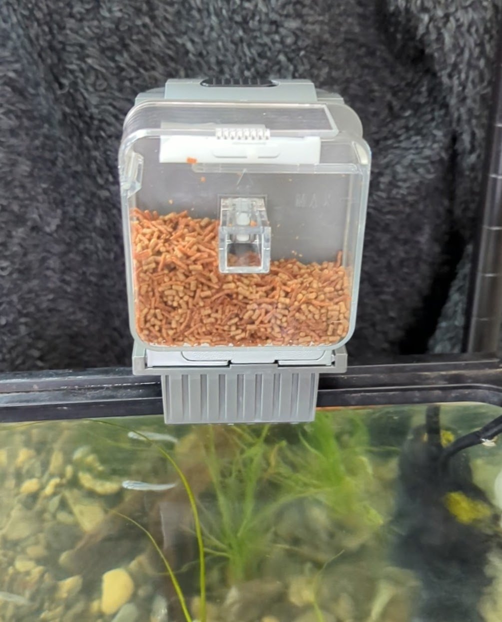 淡水魚水槽_2 遠隔管理水槽①自動給餌器｜Tuchiyama