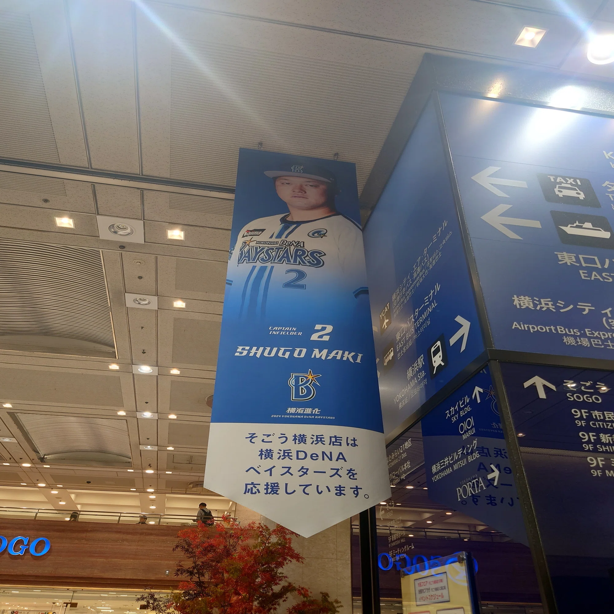 横浜優勝】クライマックスシリーズ・SMBC日本シリーズ2024 振り返り 
