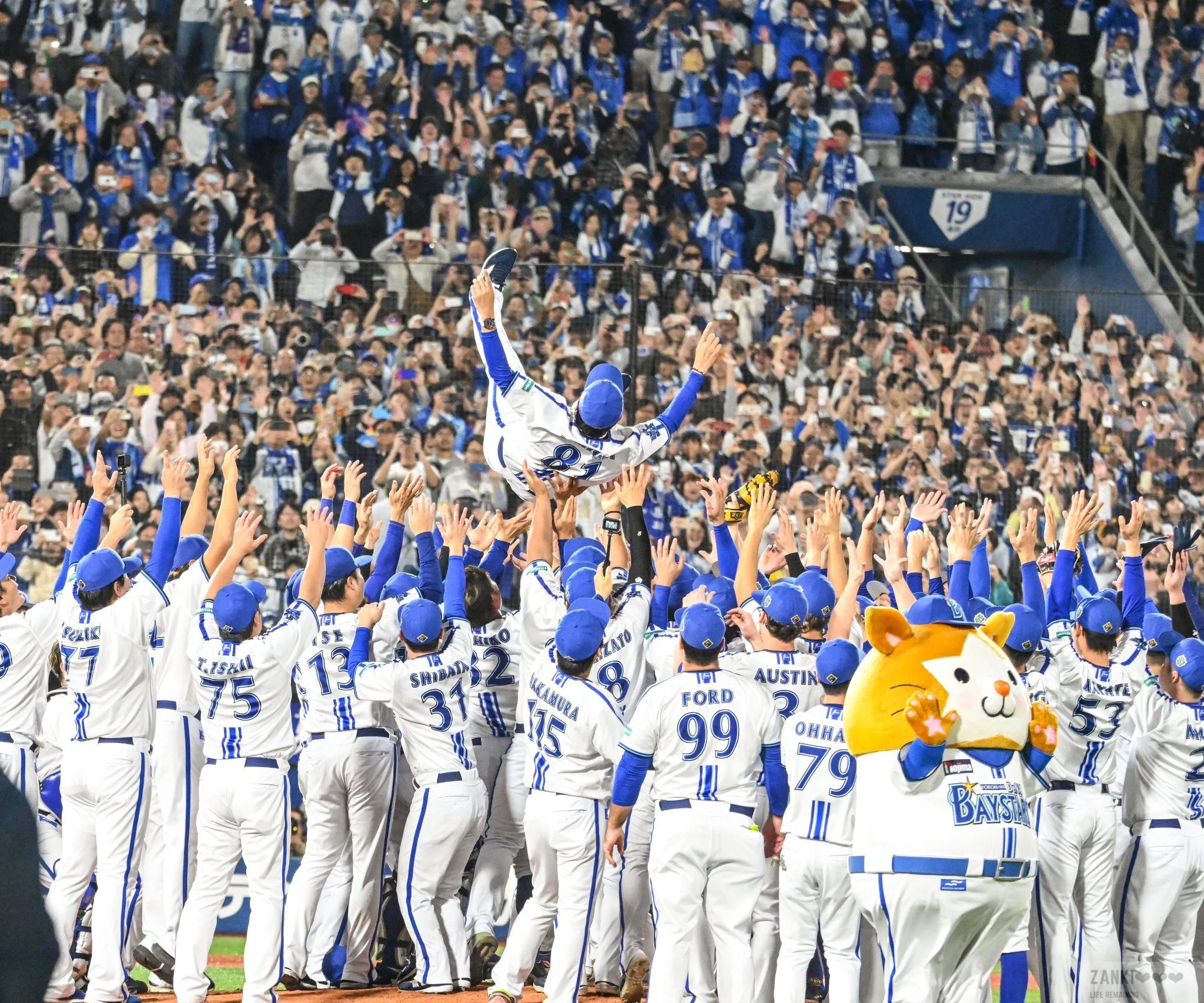 BayStars are Japan's Number One!!｜Pisa