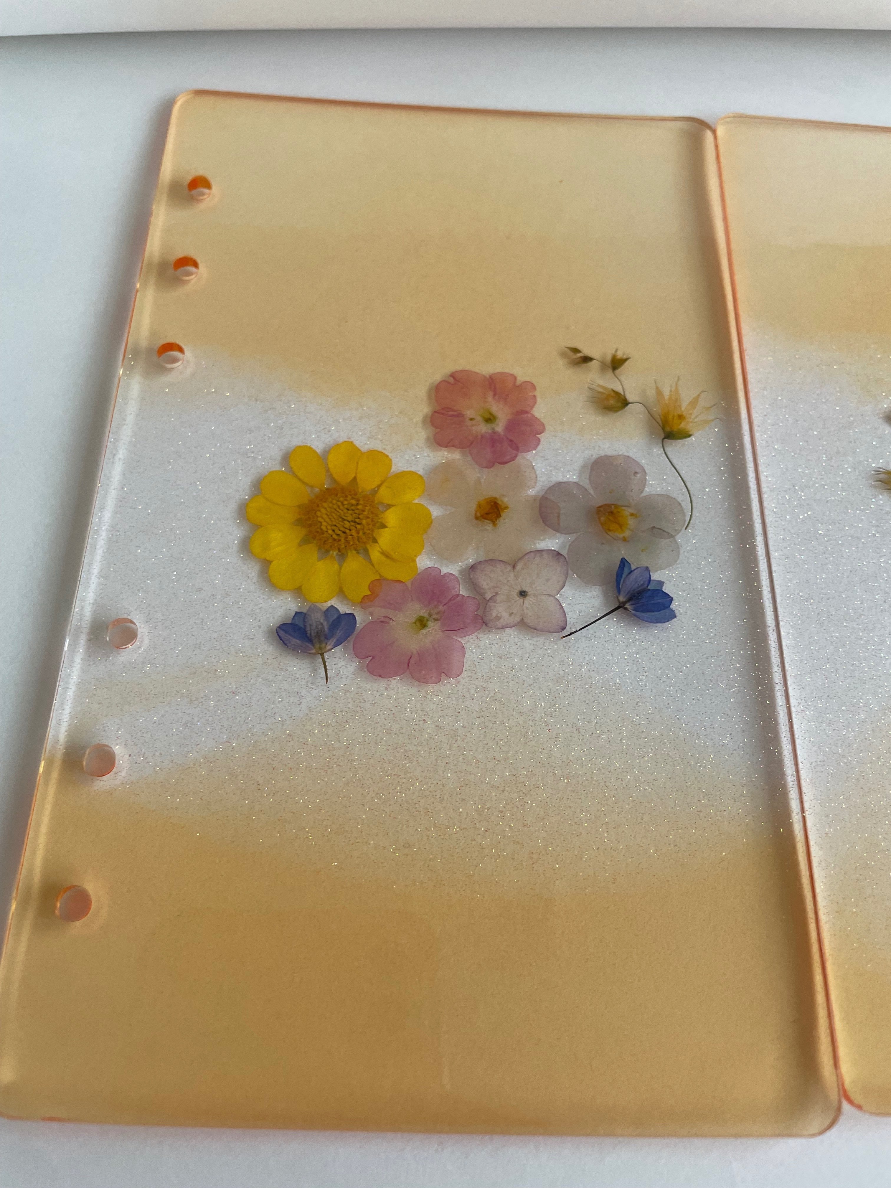 韓国式の現金貯金って何？｜bona