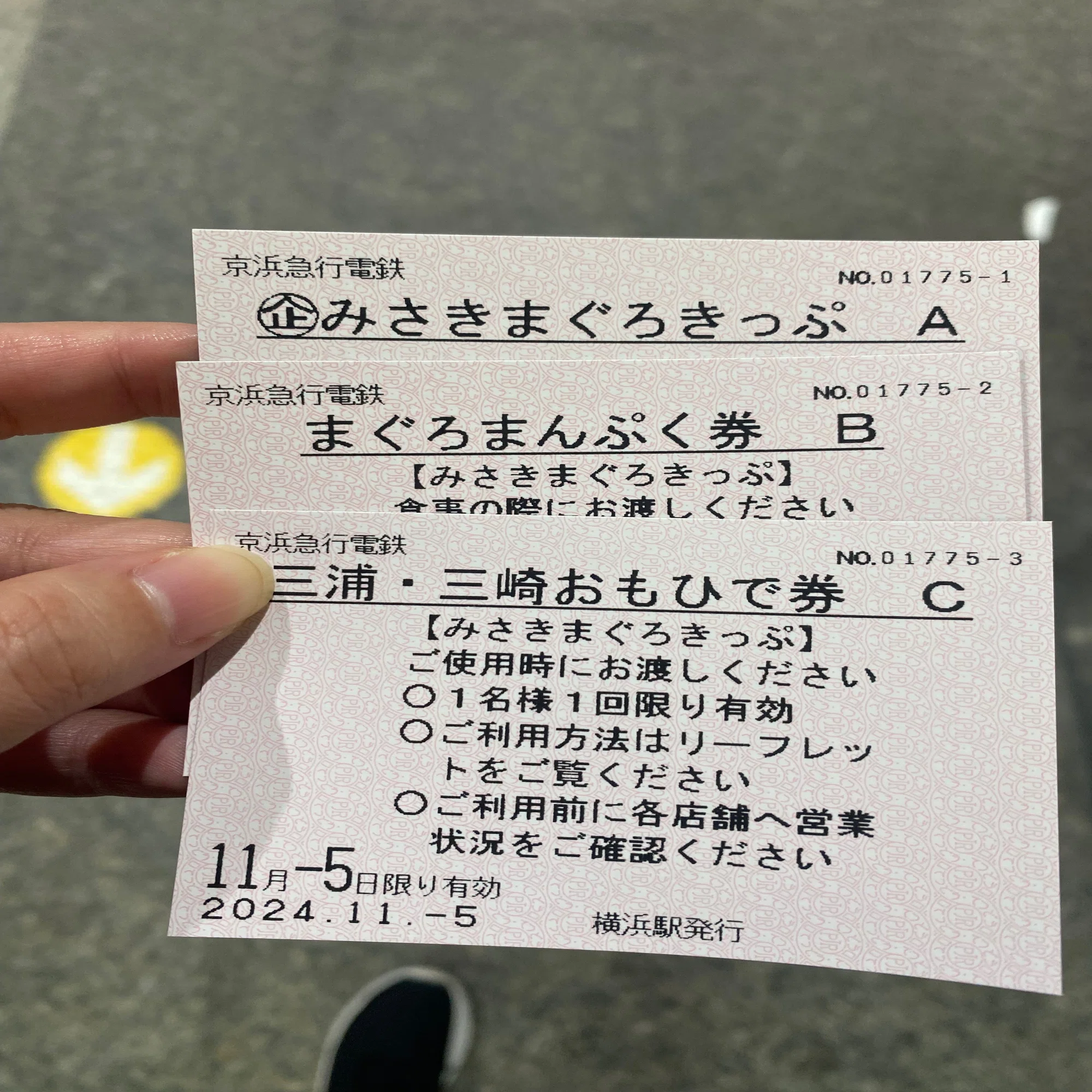 日帰り旅行記】ノープランで三崎港にマグロを食べに行く｜すり身