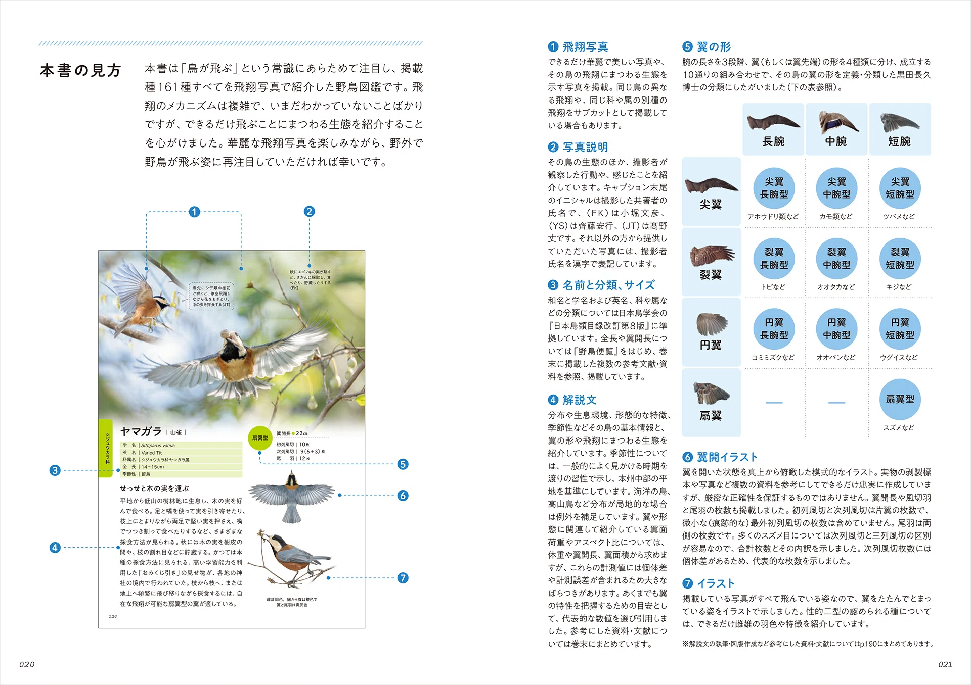 A First in History! A Magnificent Wild Bird Field Guide Where