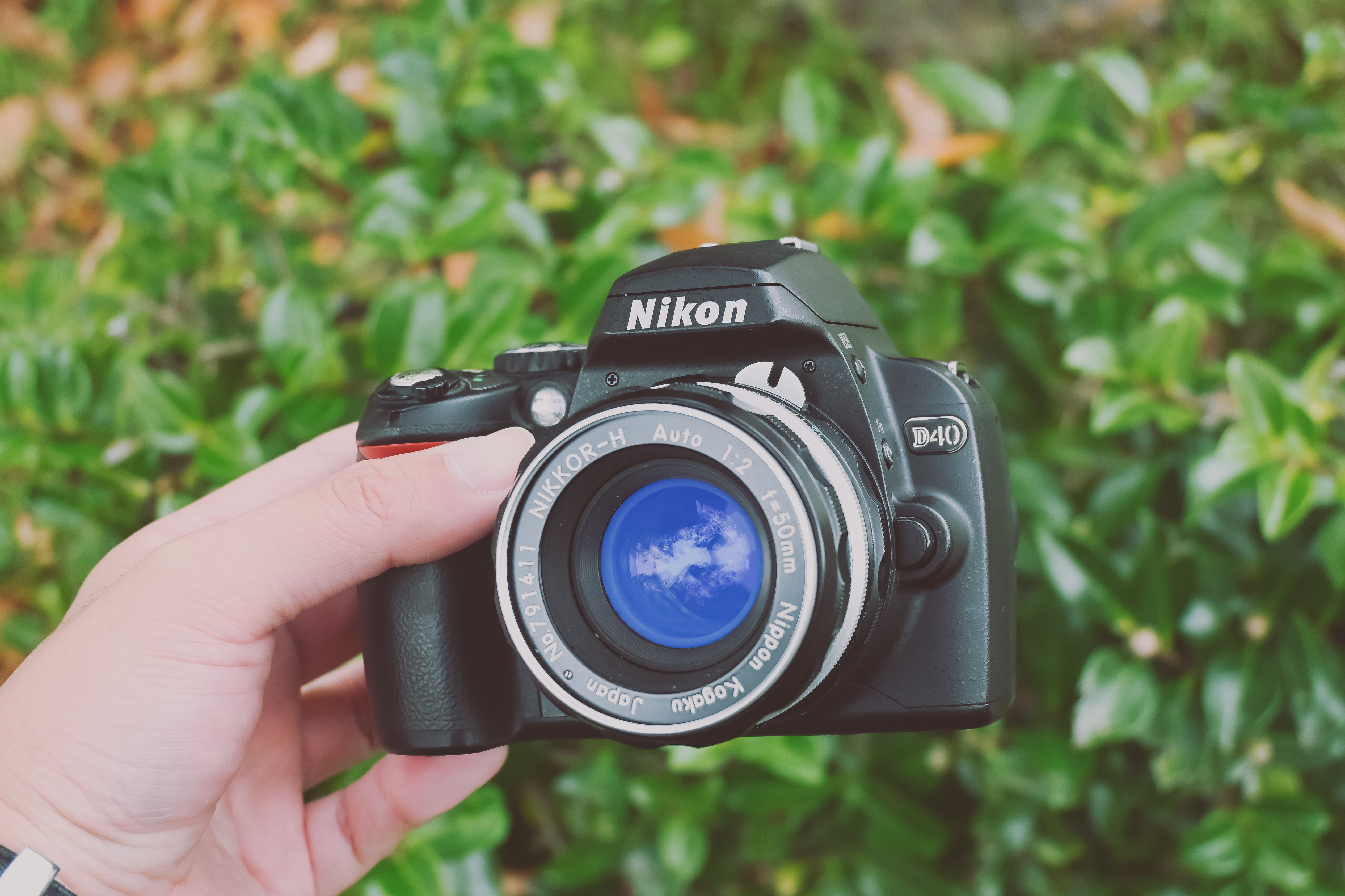 MNG!】Nikon D40をお迎え|もんぶらん MNG!】Nikon D40をお迎え|もんぶらん