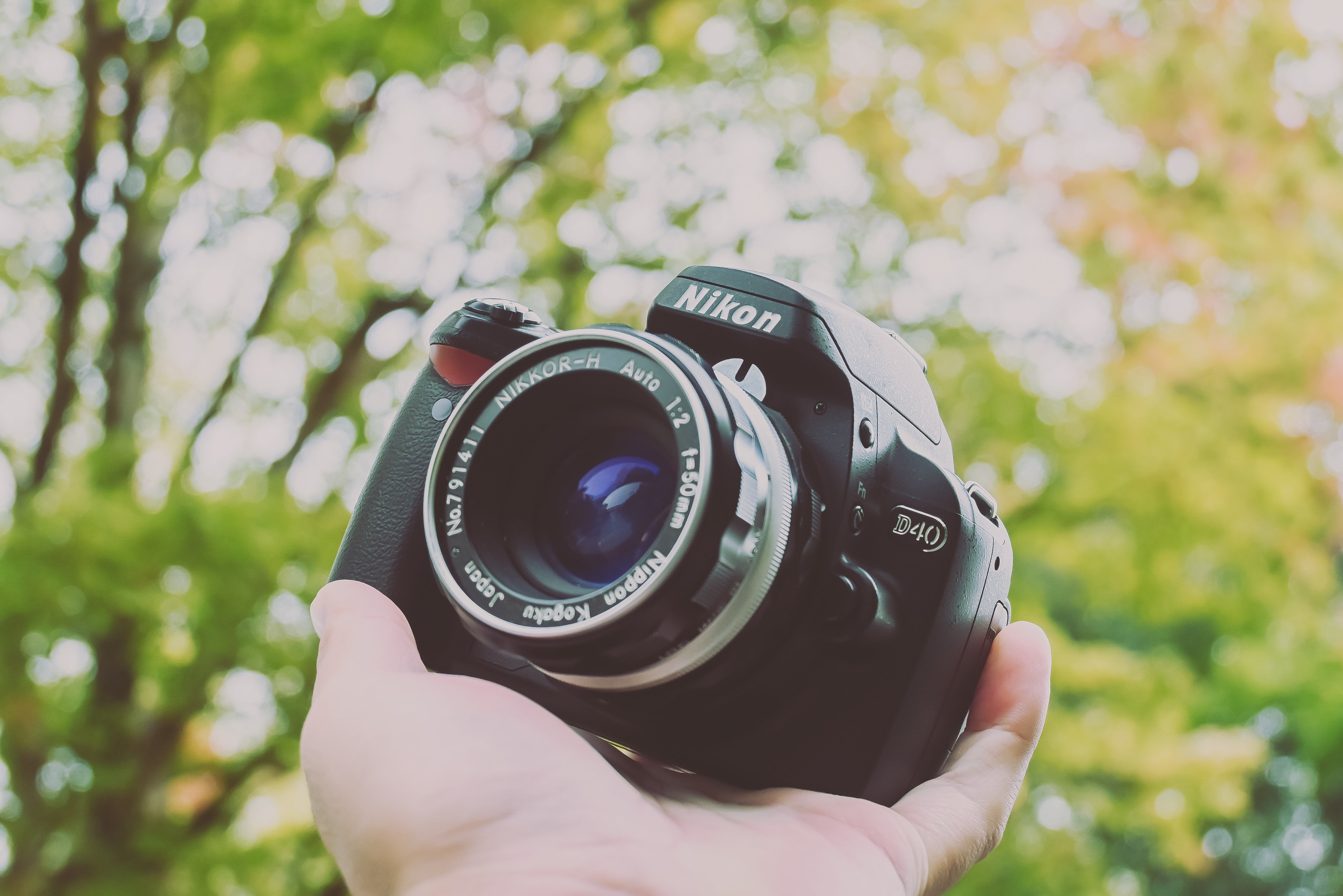 MNG!】Nikon D40をお迎え|もんぶらん MNG!】Nikon D40をお迎え|もんぶらん