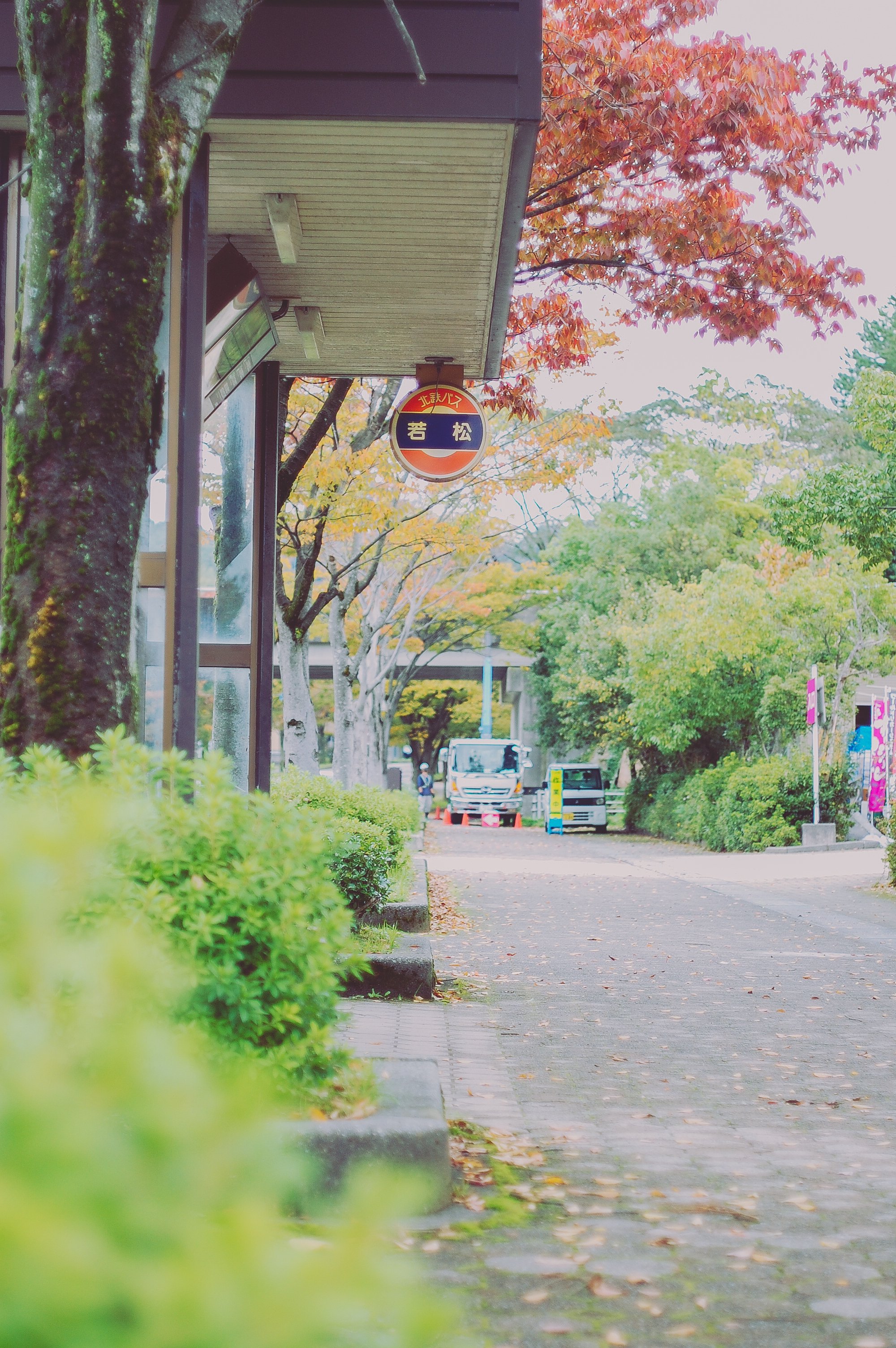 MNG!】Nikon D40をお迎え｜もんぶらん