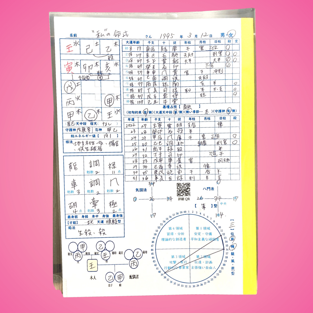 詳細】MY DATA100 取扱説明書 ｜ゆめ乃算命学☆あなたの分からない所