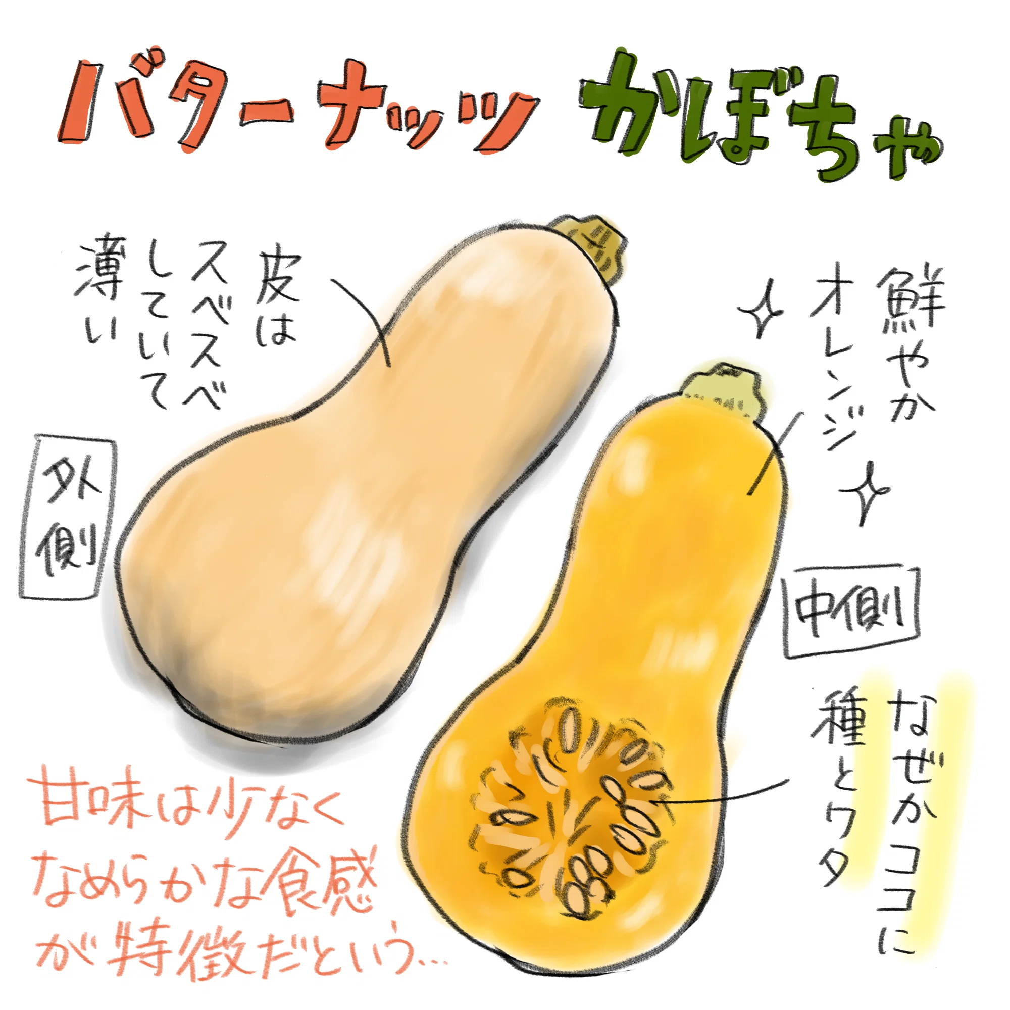 バターナッツかぼちゃと大苦戦のプリンづくり｜山梨若菜