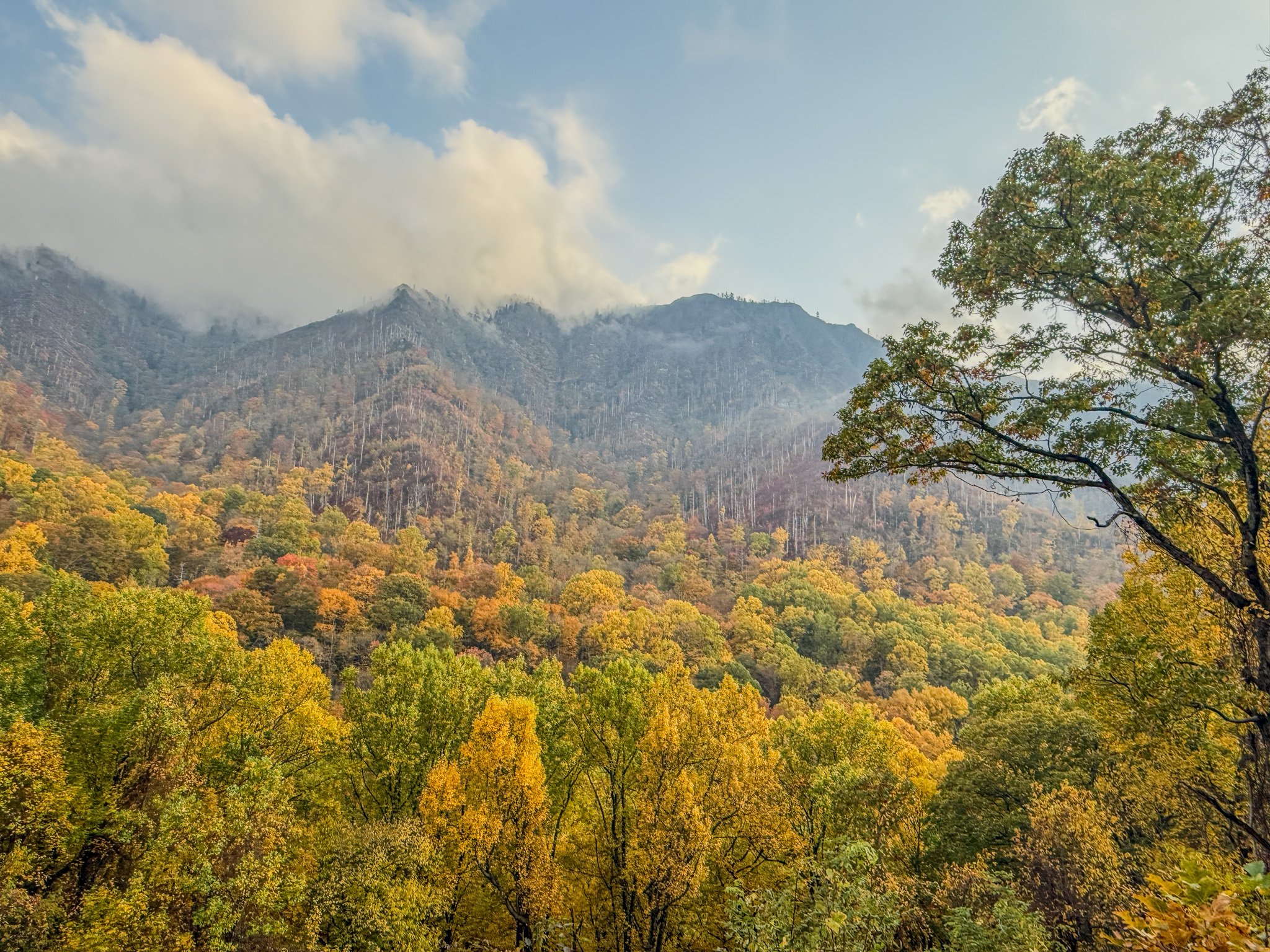 Great Smoky Mountains グレイトスモーキーマウンテン国立公園