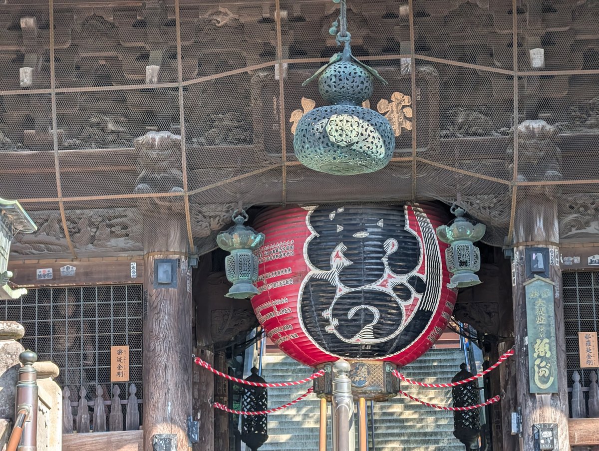 たくさん歩く(成田山新勝寺)#536｜やん（矢野達也）