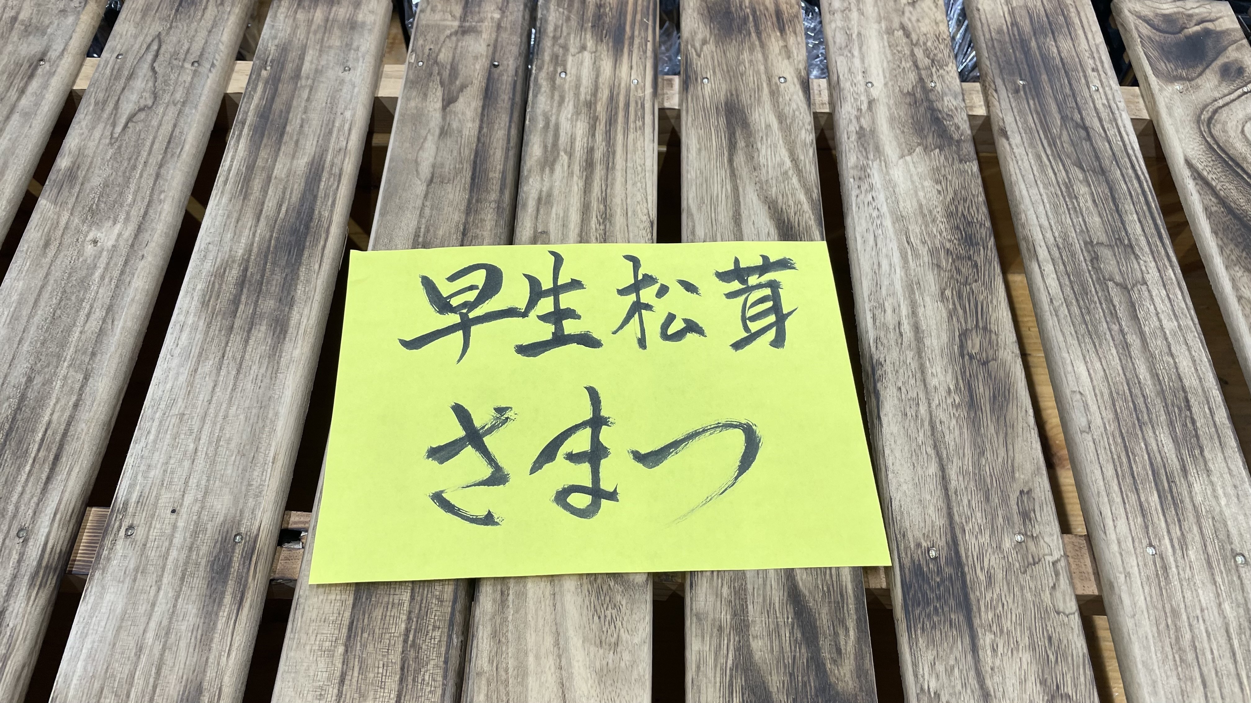 松茸〜｜前田 雅之「MaedaMasayuki」