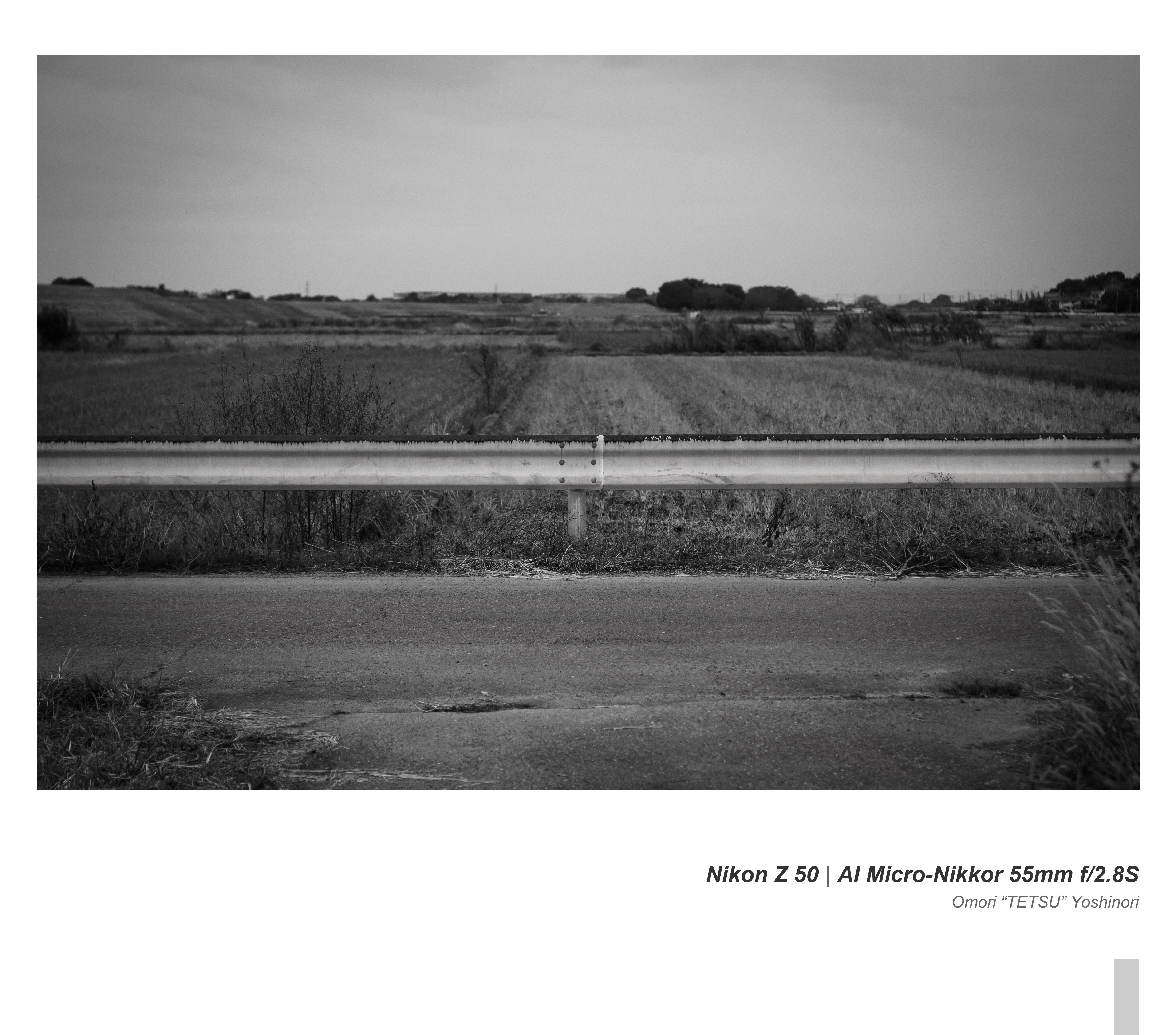 田園風景を撮りながら半年経ったNikon Z 50を考える｜Omori 