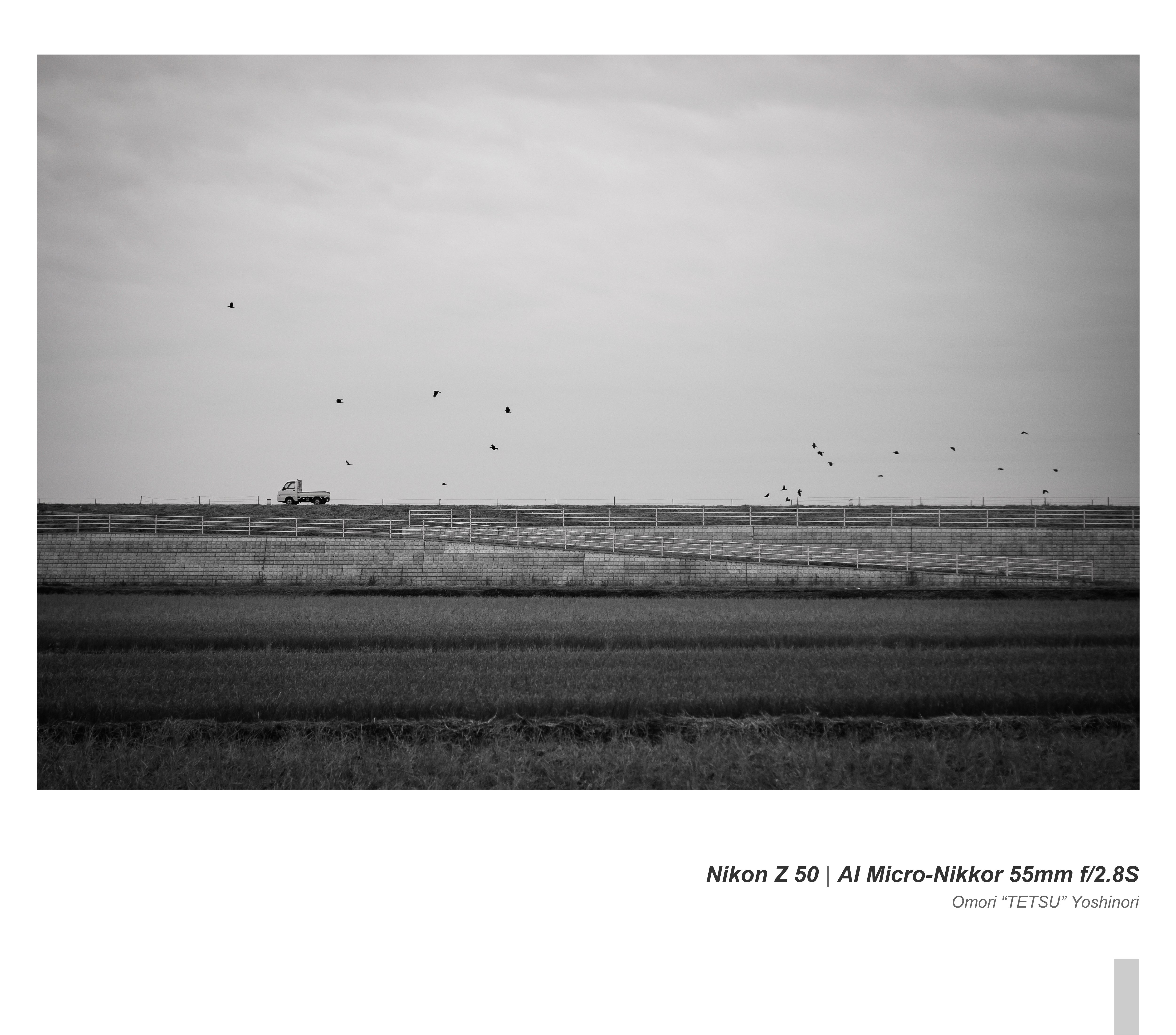 田園風景を撮りながら半年経ったNikon Z 50を考える｜Omori 