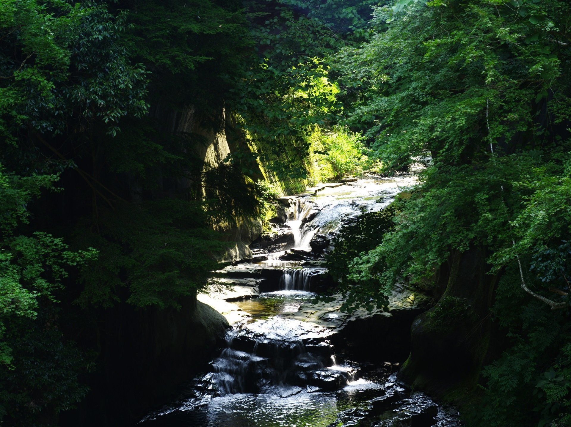 濃溝の滝・亀岩の洞窟 ~撮影旅行よもやま話集~|綺麗な風景 濃溝の滝・亀岩の洞窟 ~撮影旅行よもやま話集~|綺麗な風景