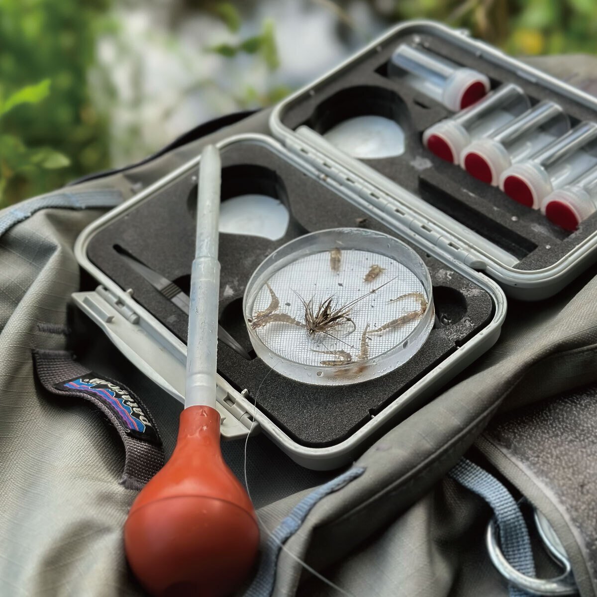 2025年1月12日開催】 Fly Fishing Forum -マッチザハッチは