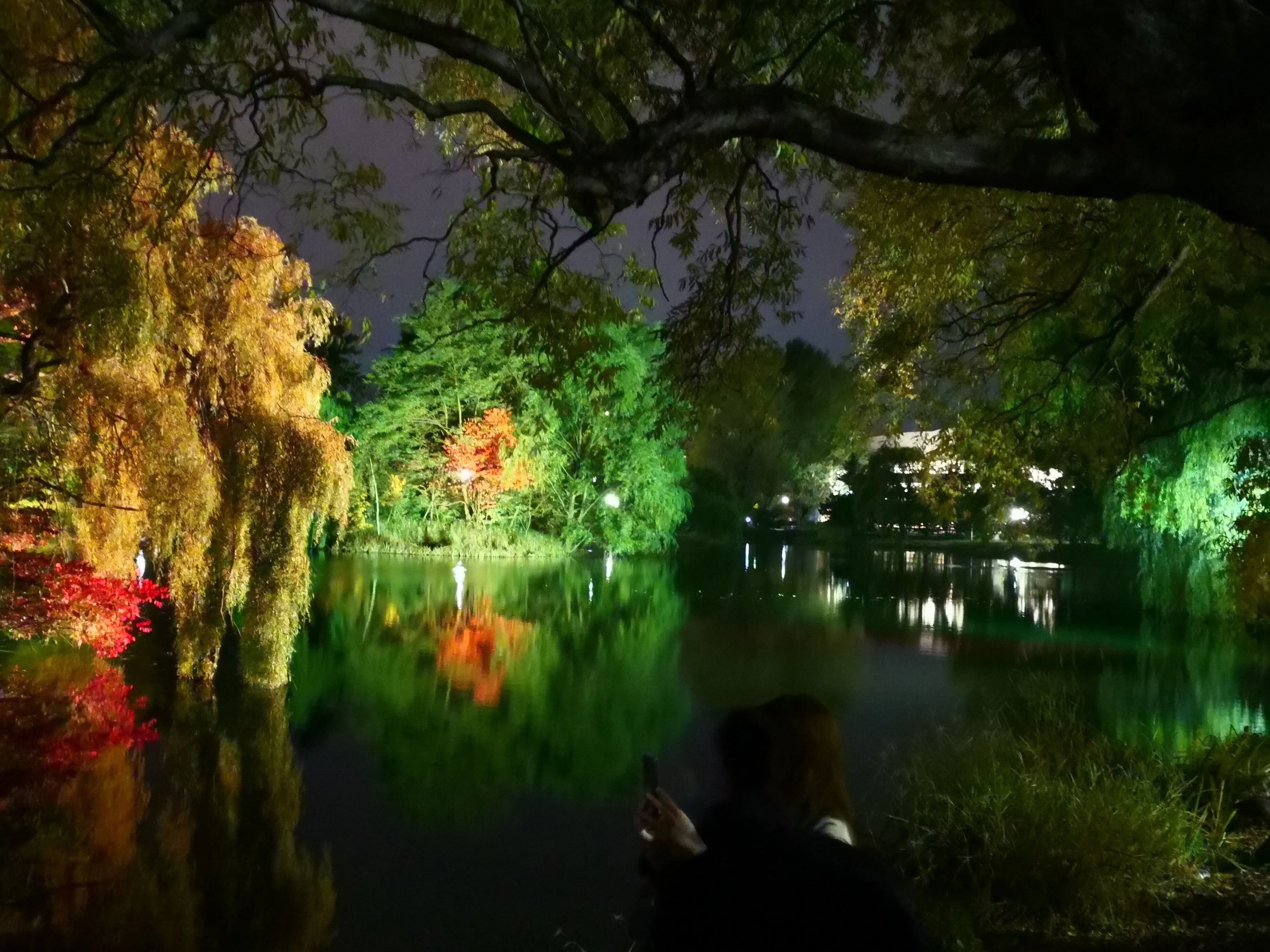 中島公園のライトアップ再訪（2024年11月2日）｜てんてん《TenTen》