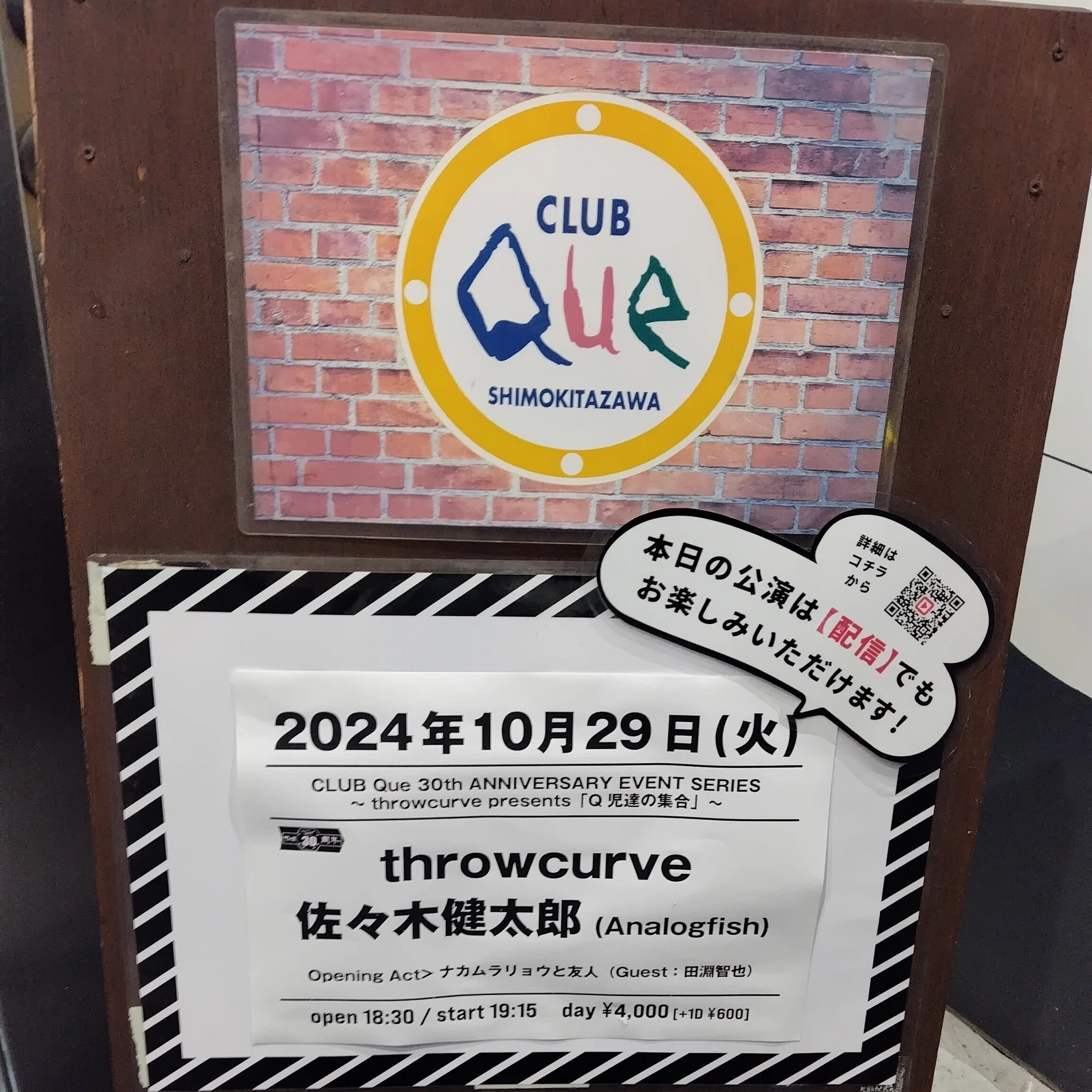 Q児達の集合」であの頃のアナログフィッシュを思い出した話｜ミ～ア