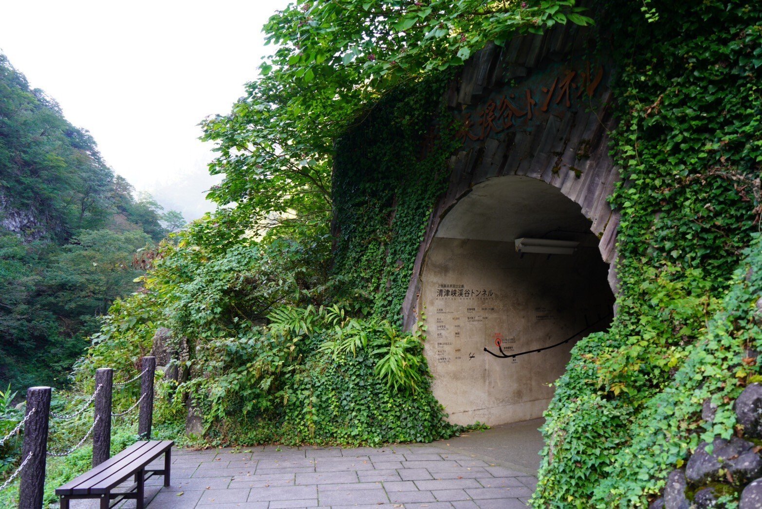 ひねくれ新潟④清津峡渓谷トンネル【自然×アート】鏡の世界でもののけ