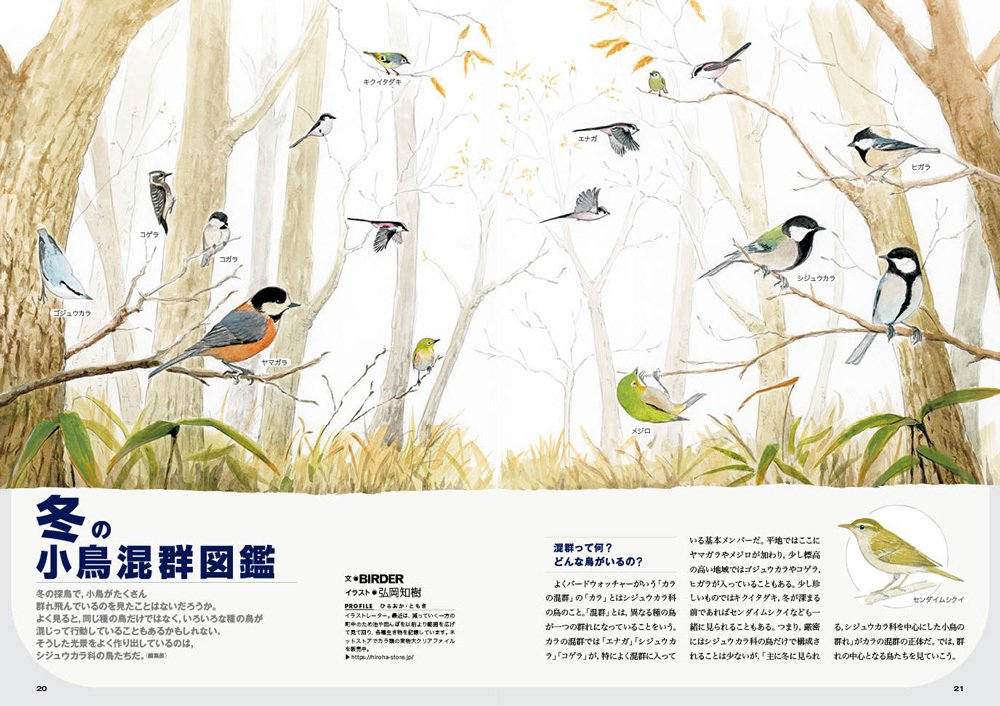 花見鳥 合口文庫(A4) A161-08009 3672-020(箔一 花見鳥 合口 花見鳥 合口文庫(A4) A161-08009 3672-020(箔一 花見鳥 合口