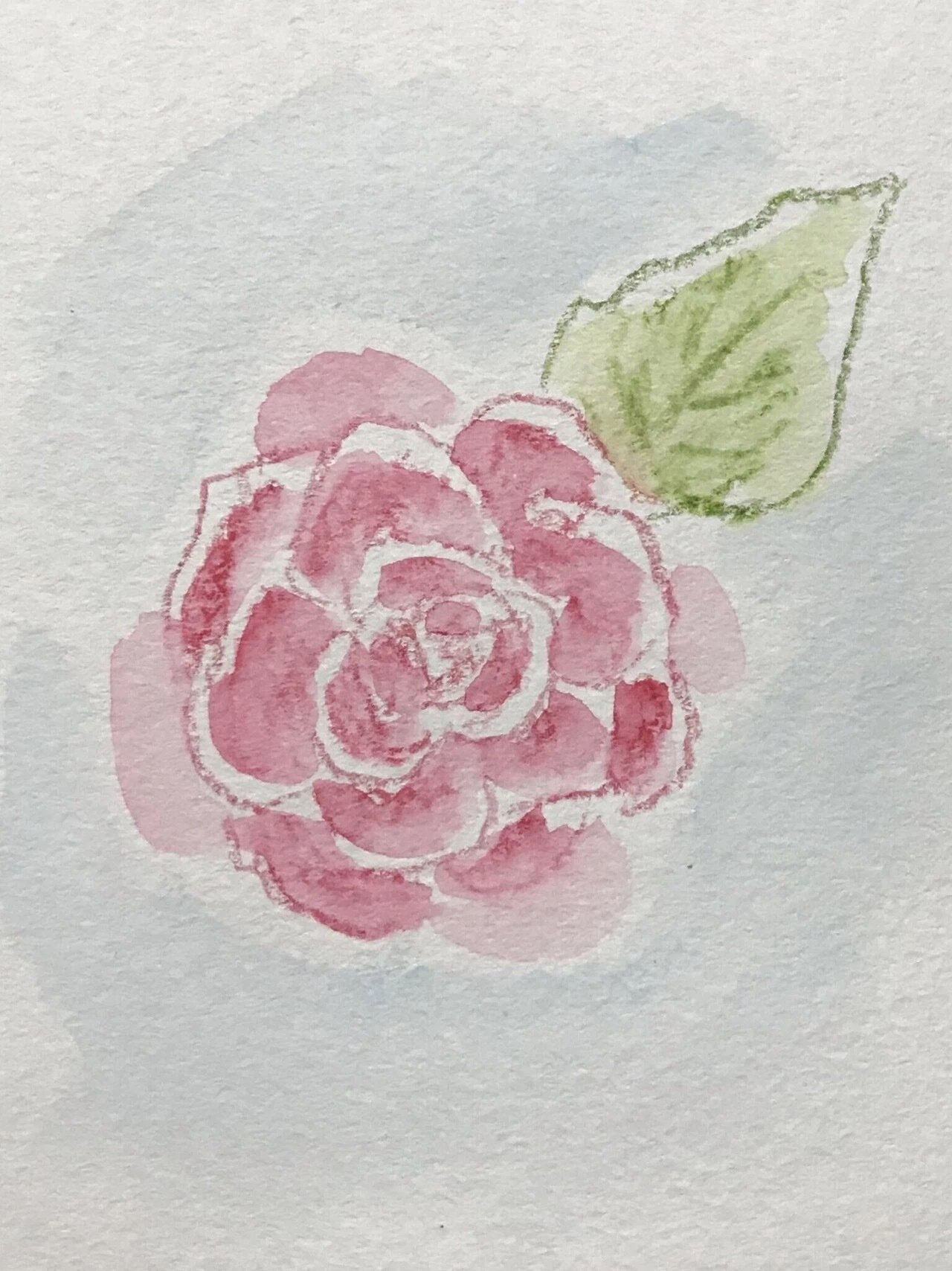 バラ｜えいみ