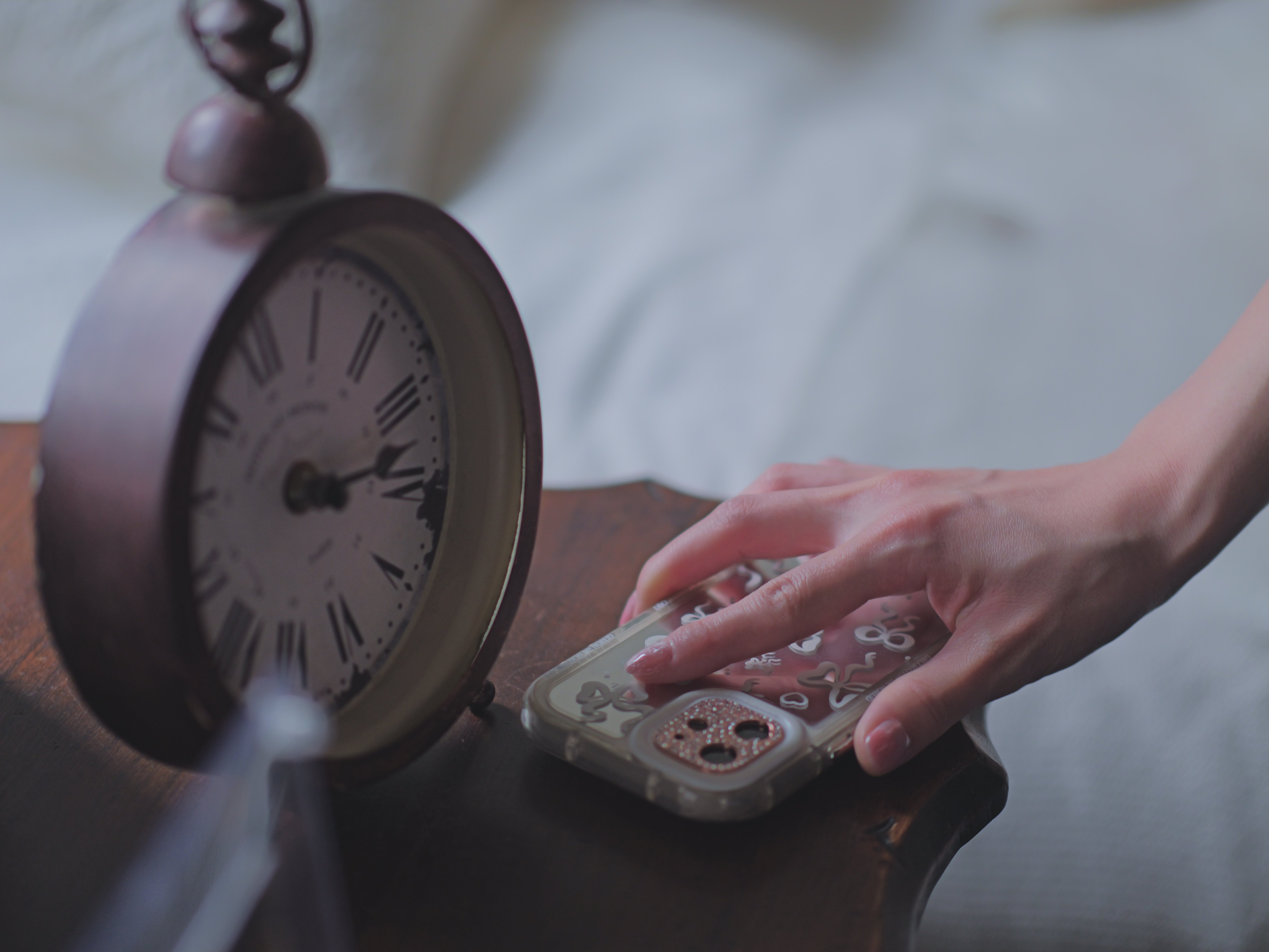 LEICA DG NOCTICRON 42.5mm / F1.2 ASPH. / POWER O.I.S. 【My