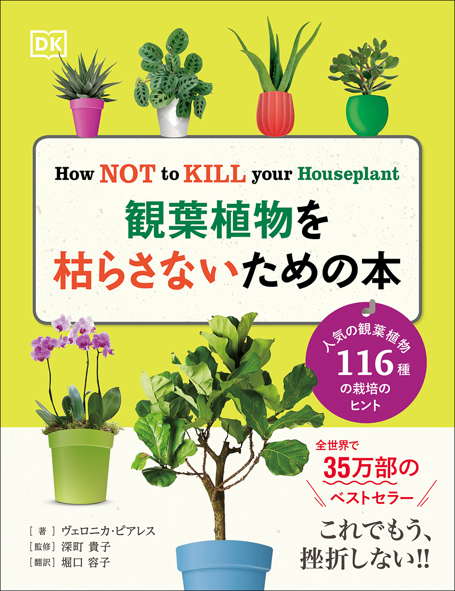 観葉植物超まとめ　 初心者さんにもおすすめの観葉植物入門ガイド。グリーンのある暮らしで
