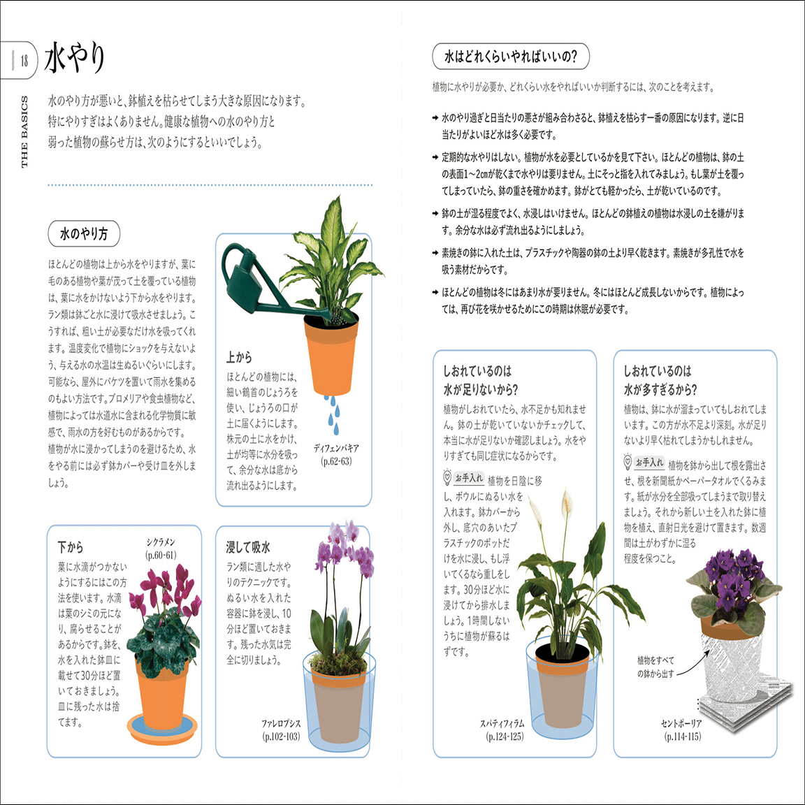 全世界で35万部のベストセラー】鉢植え栽培の超基本ガイド『観葉植物を