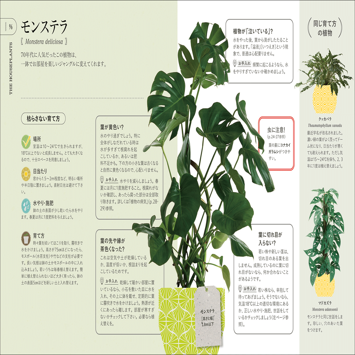 全世界で35万部のベストセラー】鉢植え栽培の超基本ガイド『観葉植物を