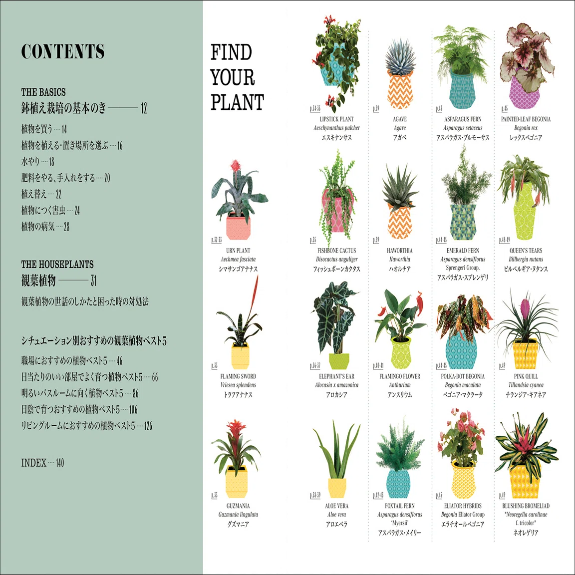 全世界で35万部のベストセラー】鉢植え栽培の超基本ガイド『観葉植物を