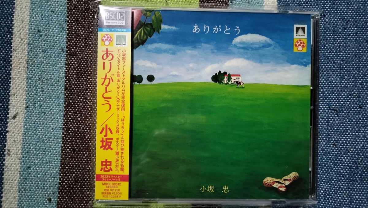 おばさん　素人投稿アルバム 