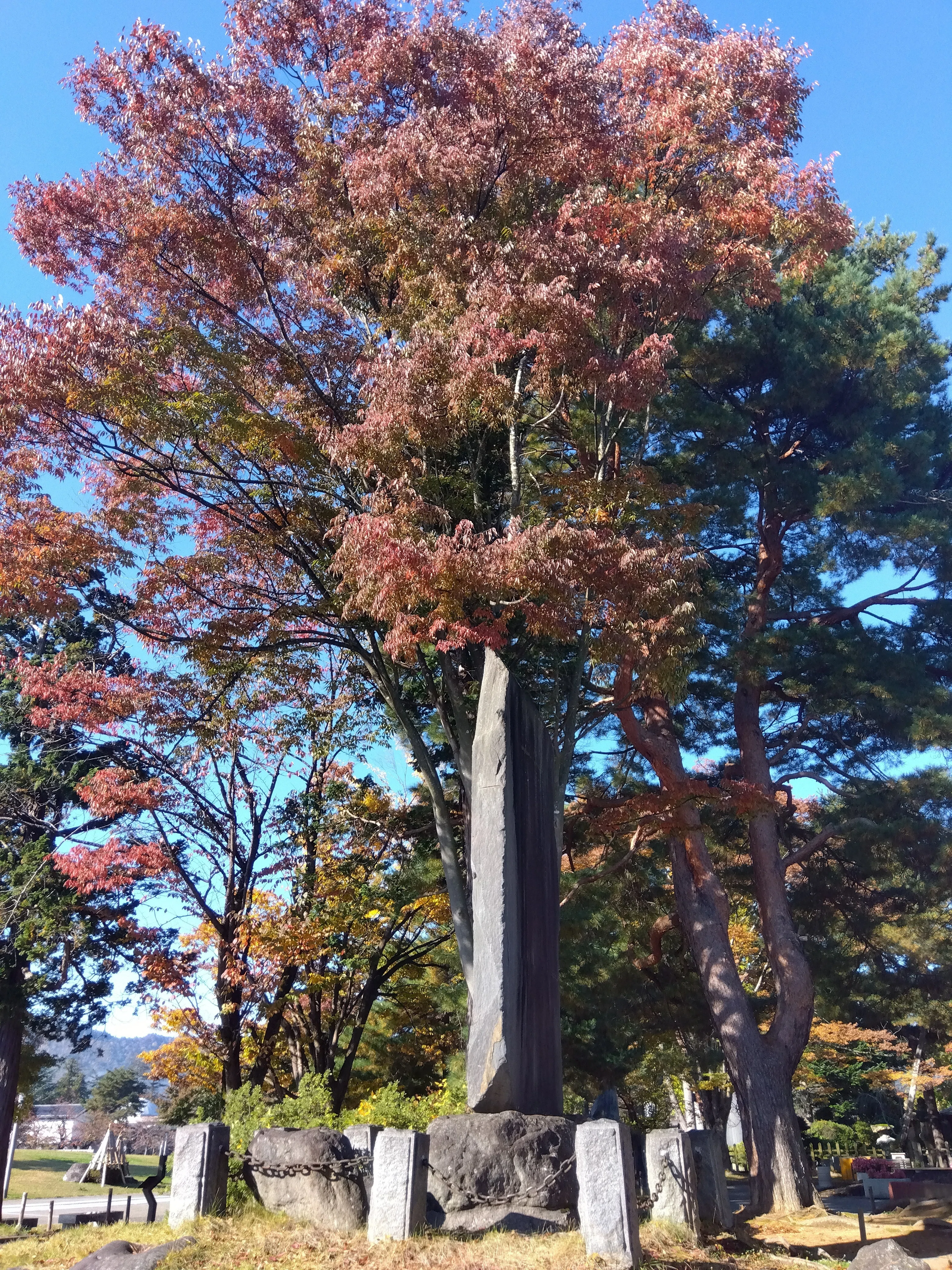 為せば成る！ 上杉鷹山の米沢市｜かおり