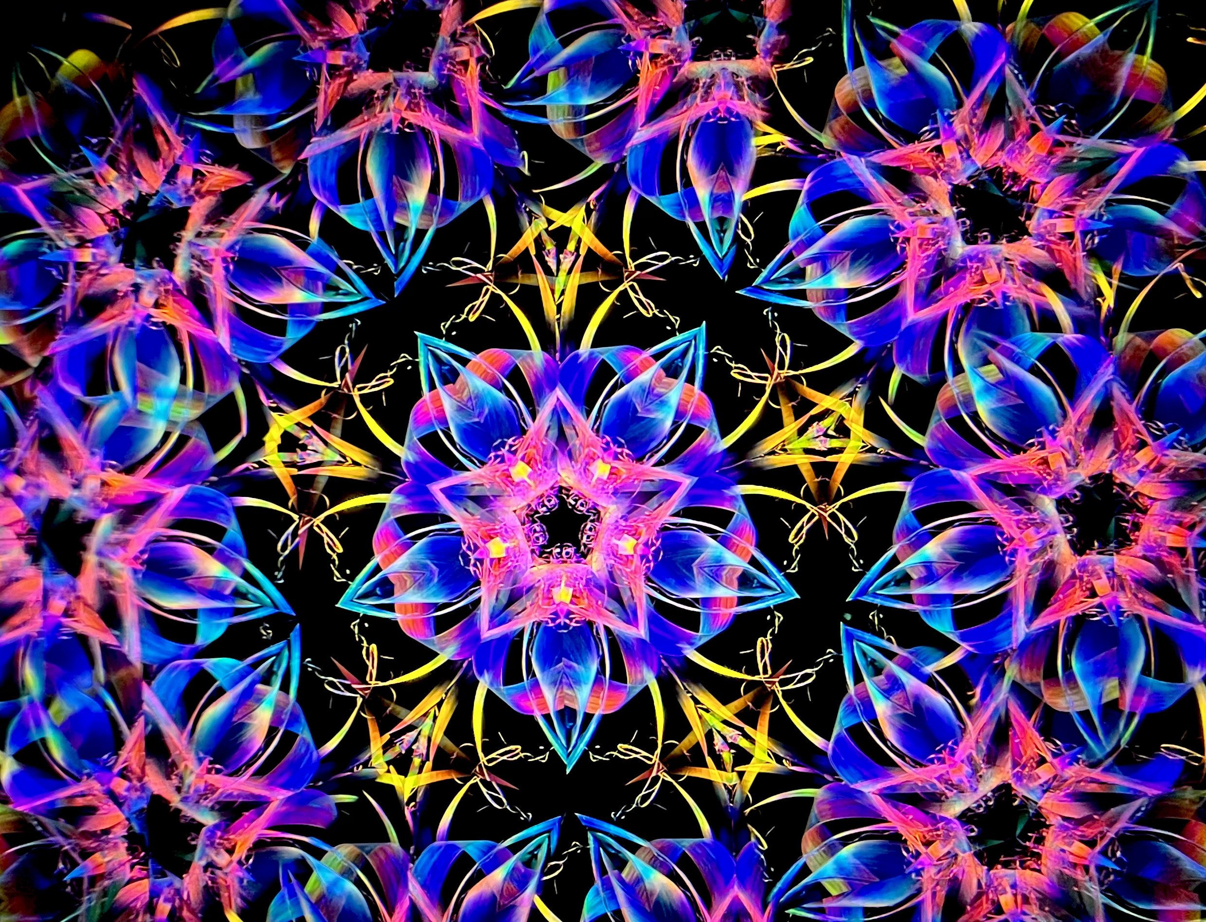 Mirror Cruise x Towk 万華鏡二人展 2024 12/21(Sat)-2025 1/5