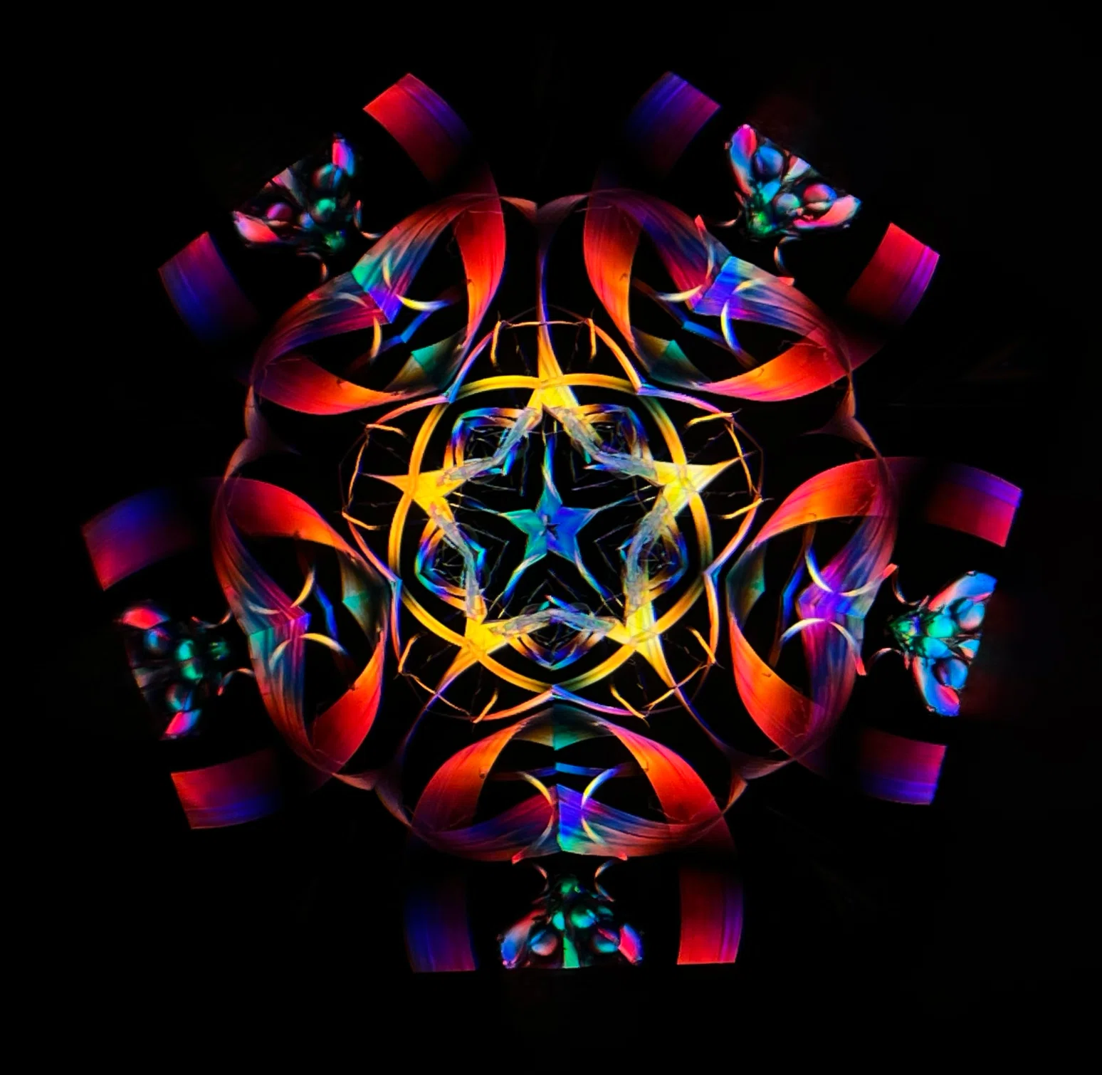 Mirror Cruise x Towk 万華鏡二人展 2024 12/21(Sat)-2025 1/5(Sun