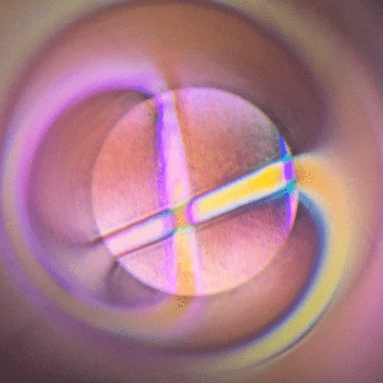 Mirror Cruise x Towk 万華鏡二人展 2024 12/21(Sat)-2025 1/5(Sun