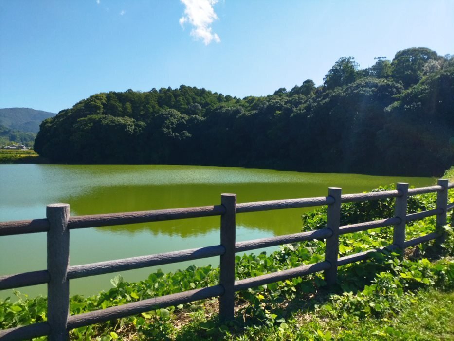 42 邪馬台国論争の根拠地を巡る～卑弥呼は大和の地にいたのか
