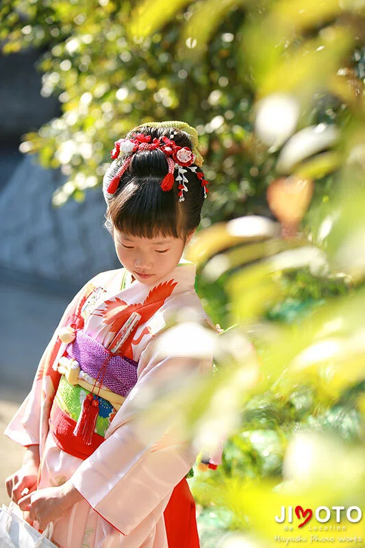 杵築神社で七五三出張撮影