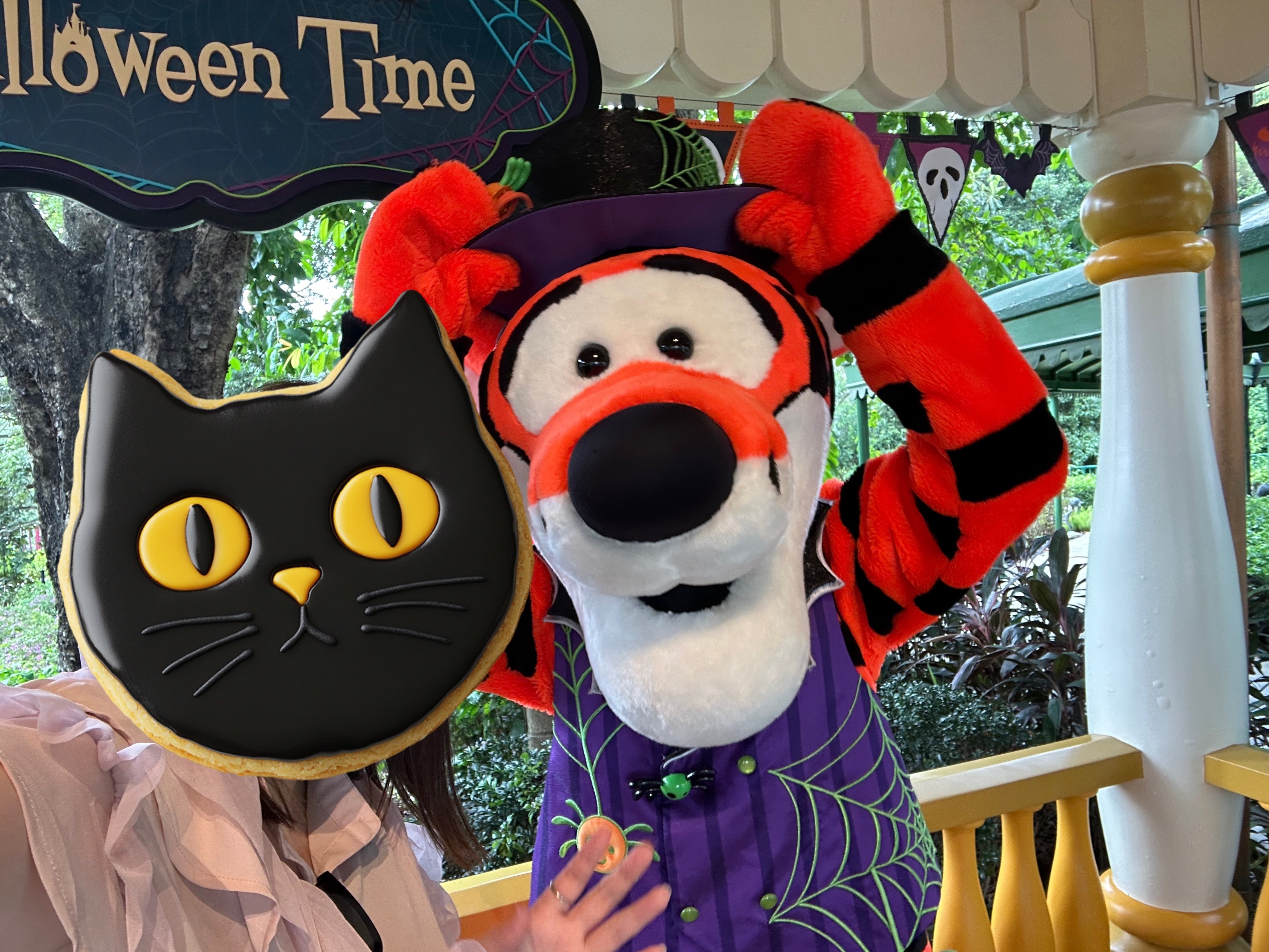 根付け ハロウィン（ティガー、イーヨー、ランピー、ルー）など【7個