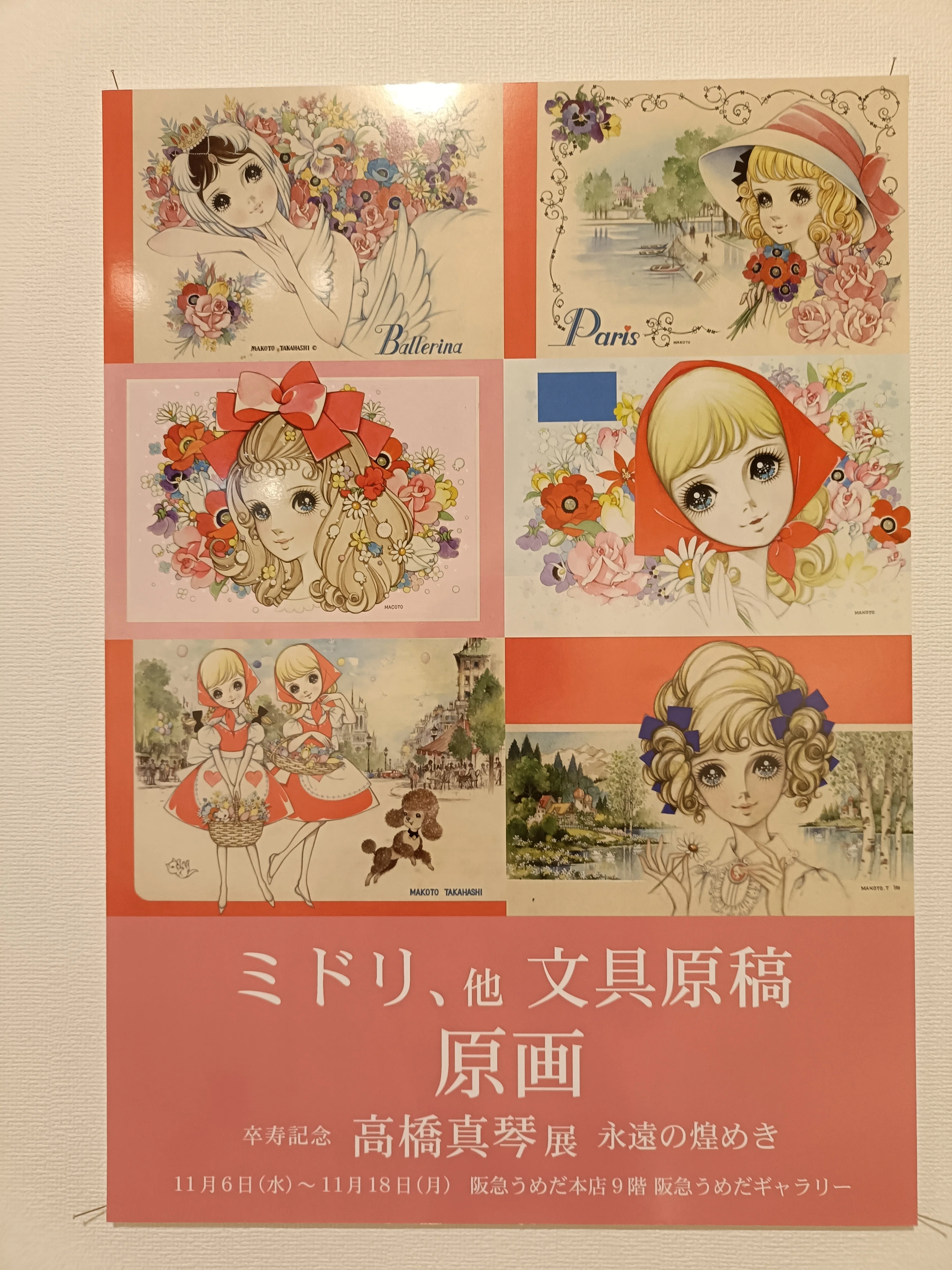 高橋真琴さんの繊細で緻密な美しい絵💕｜かお