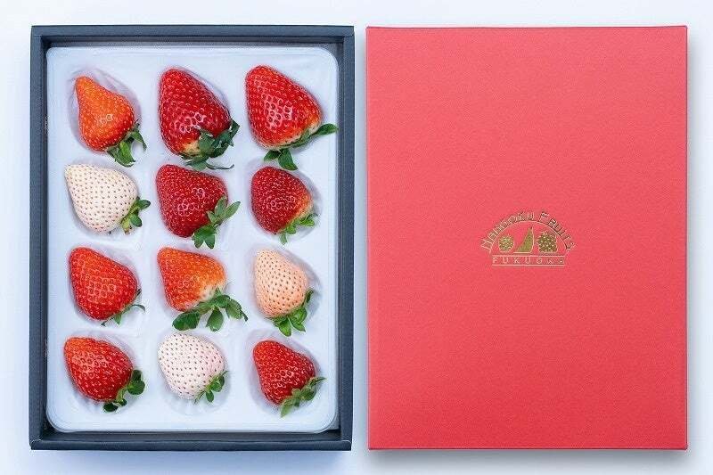 旬のイチゴを堪能する「いちご12種食べ比べ」＆新発売！「いちご5種