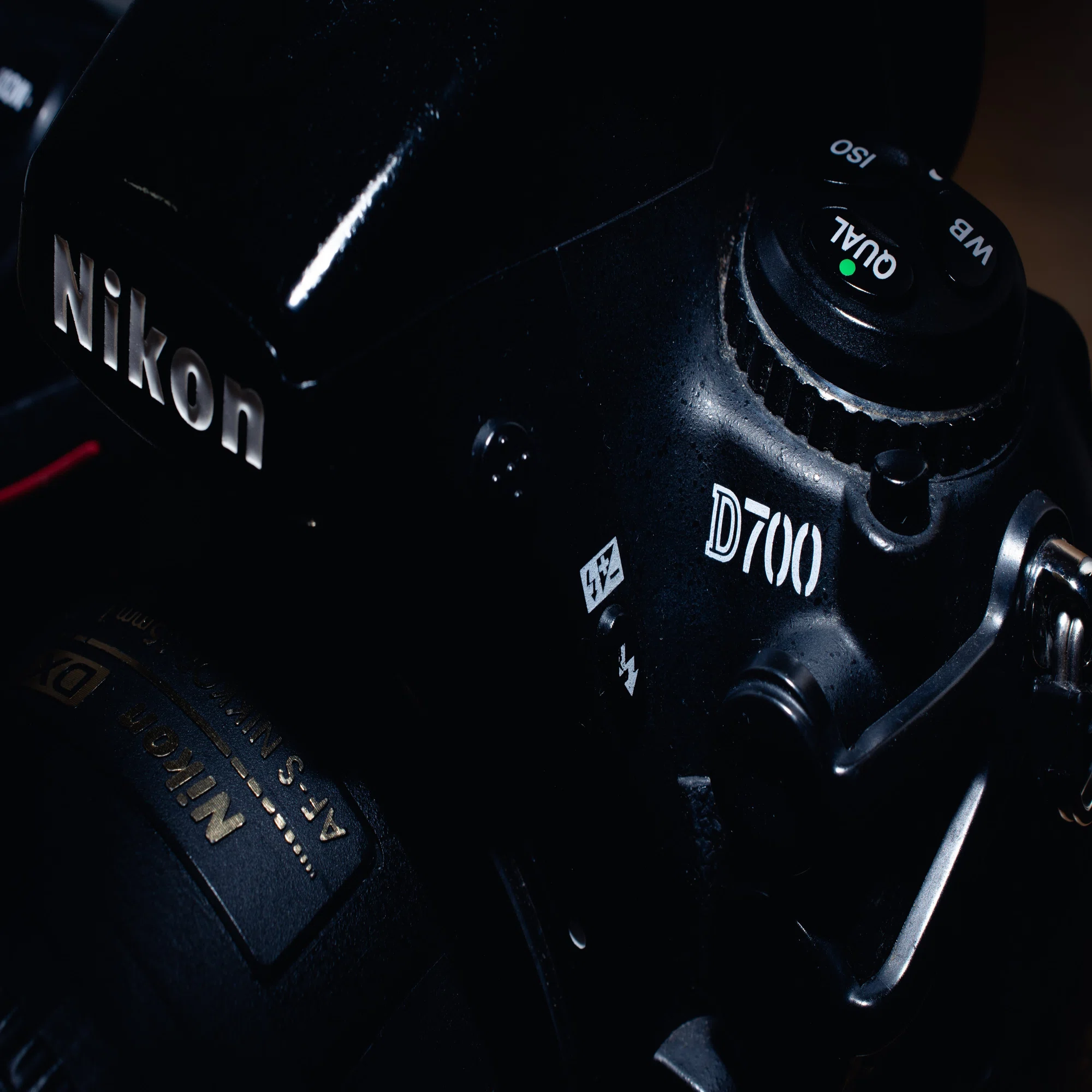 MNG : Nikon D700｜Wata / wttw602