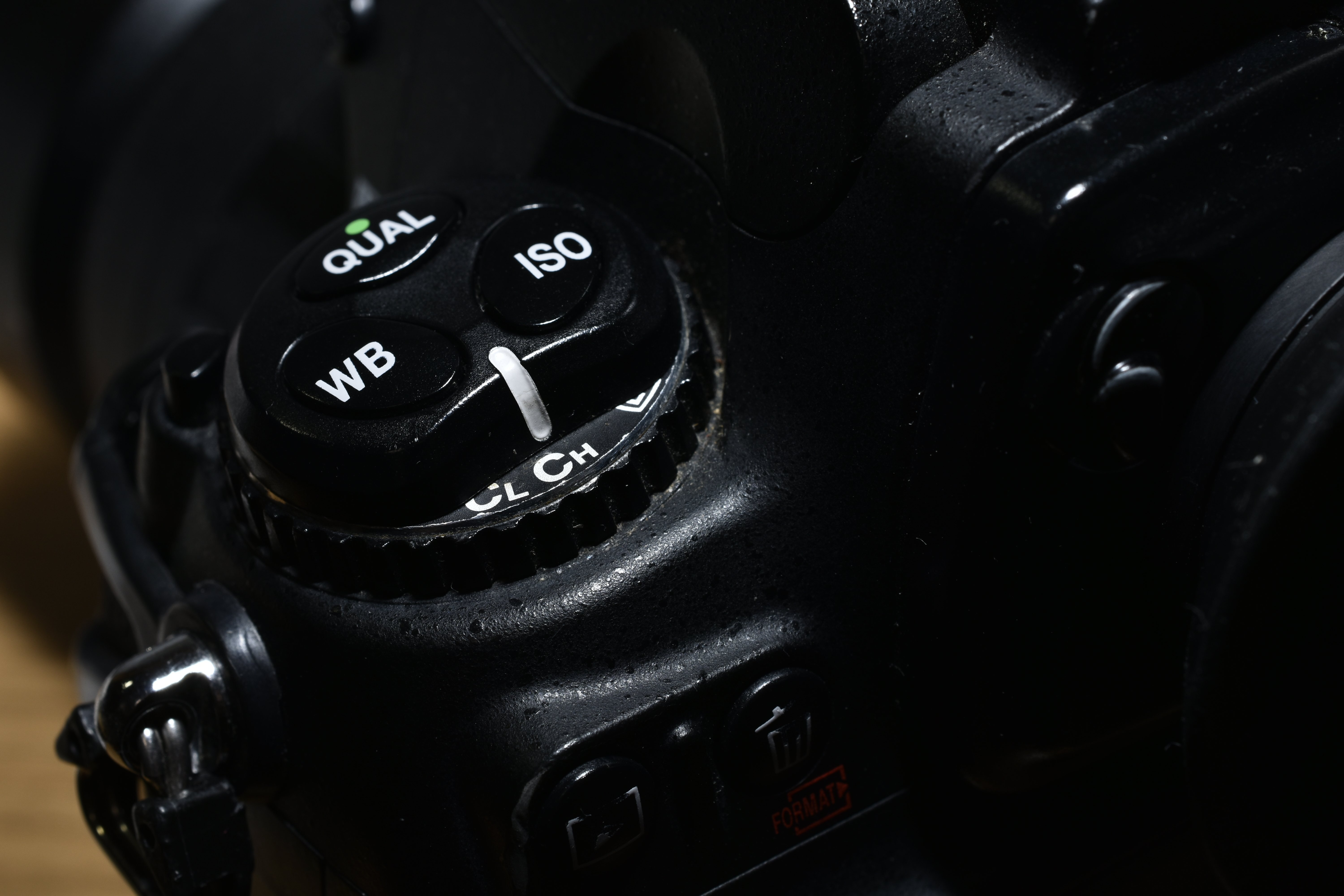 MNG : Nikon D700｜Wata / wttw602