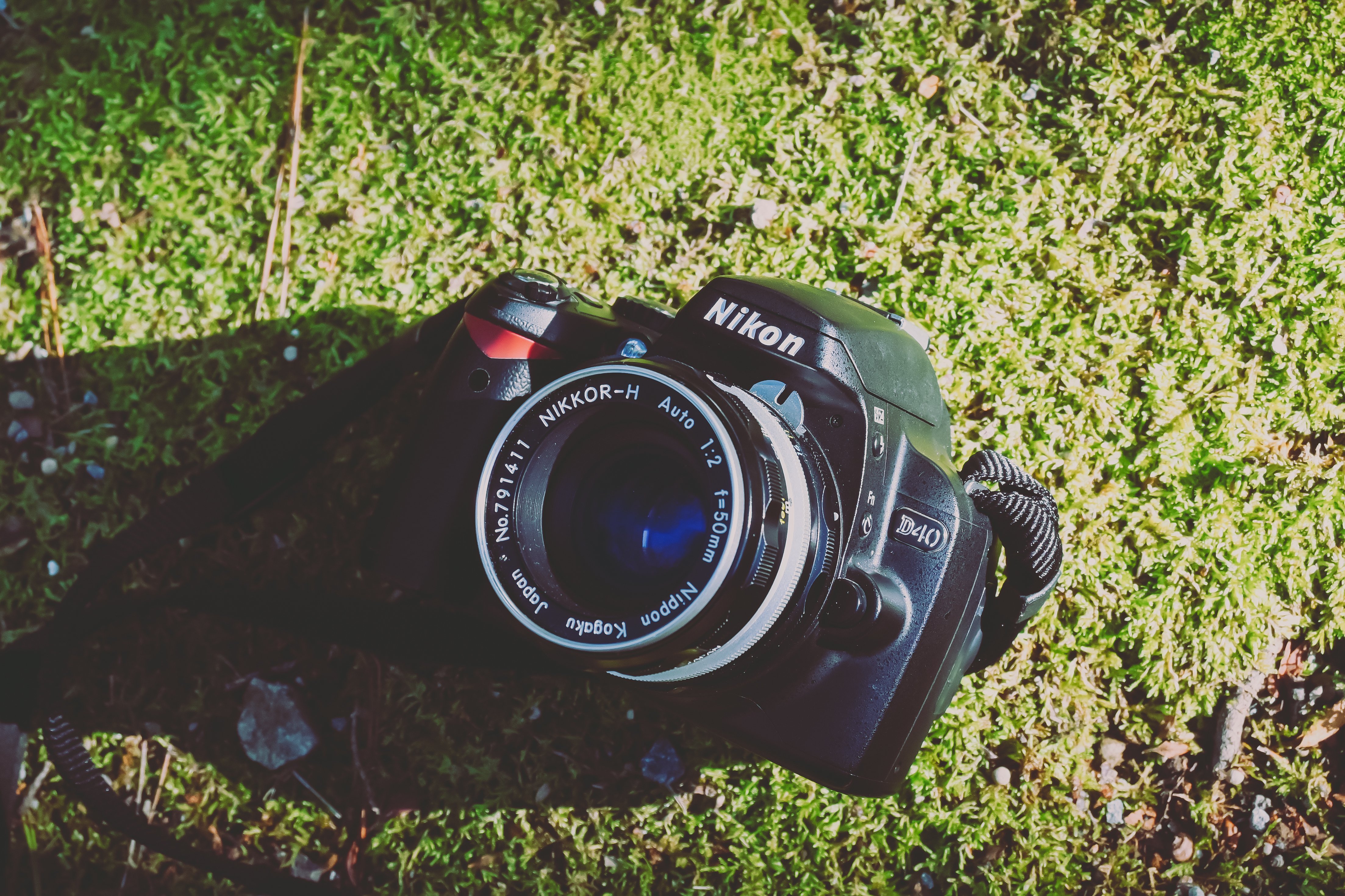D40と歩く秋｜もんぶらん