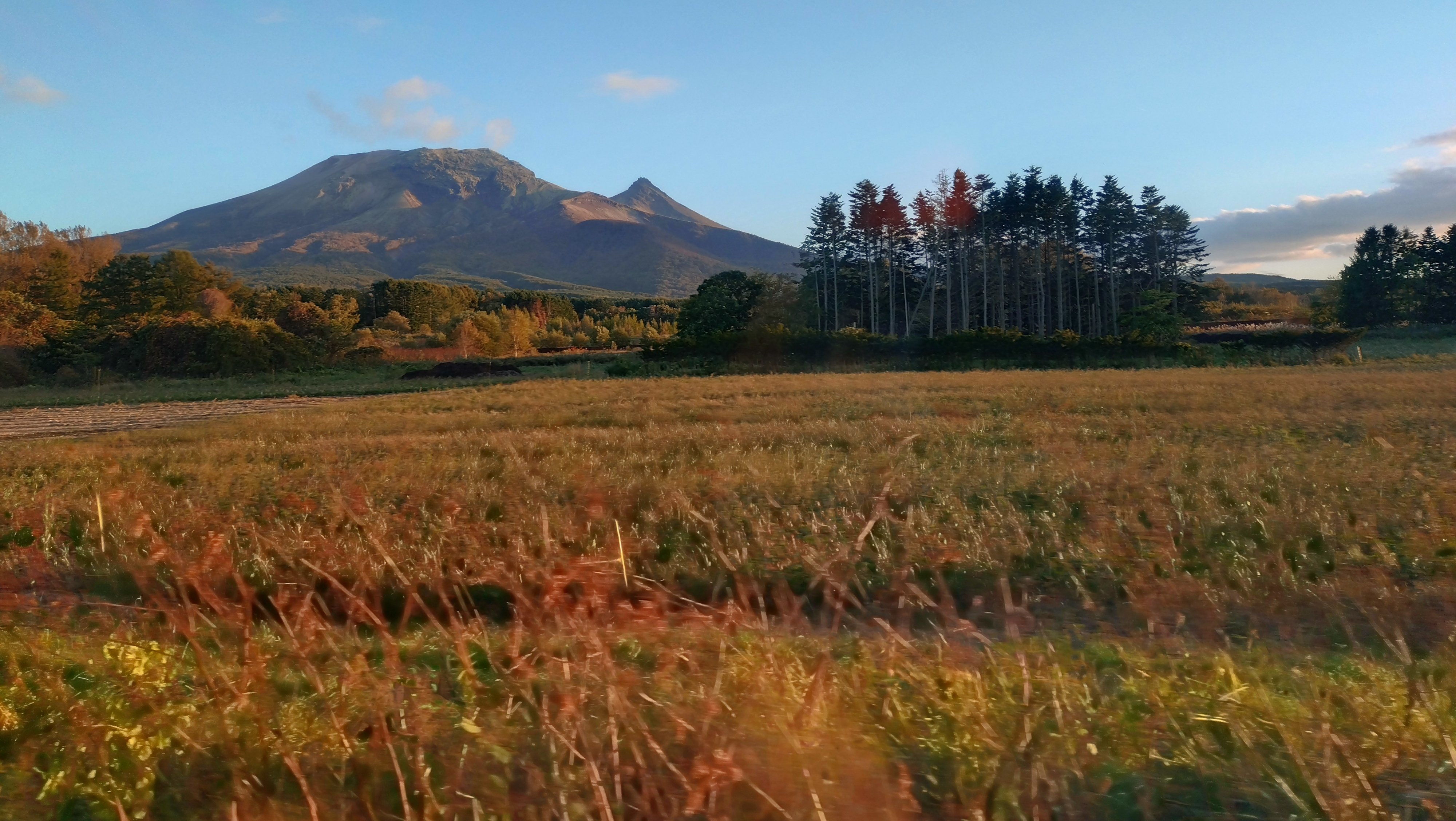 大沼公園に噴火湾 秋の自然を満喫する 函館本線小旅行(函館～森
