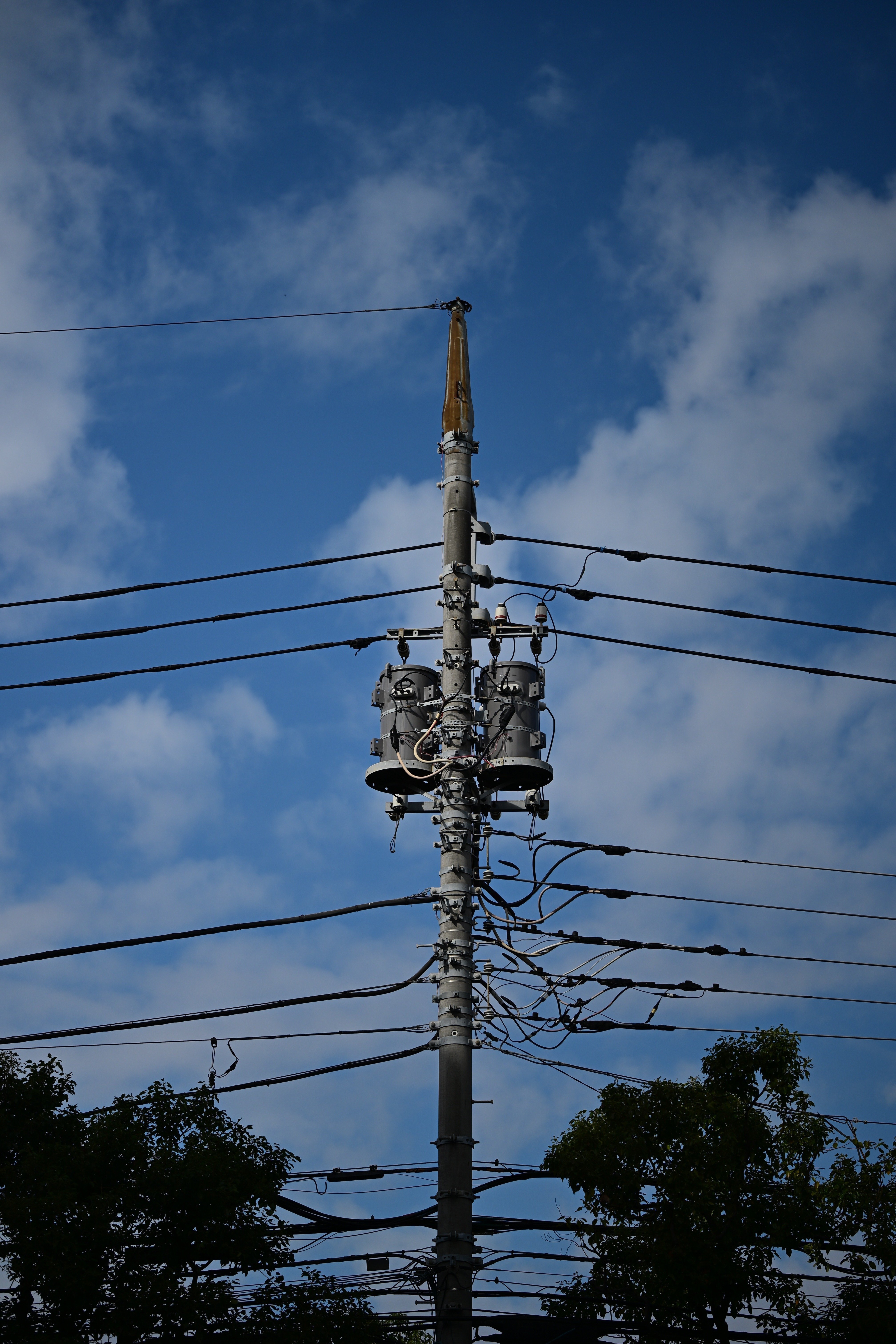 秋はまだか 周八枚+Nikon Zf｜Swan High 1114