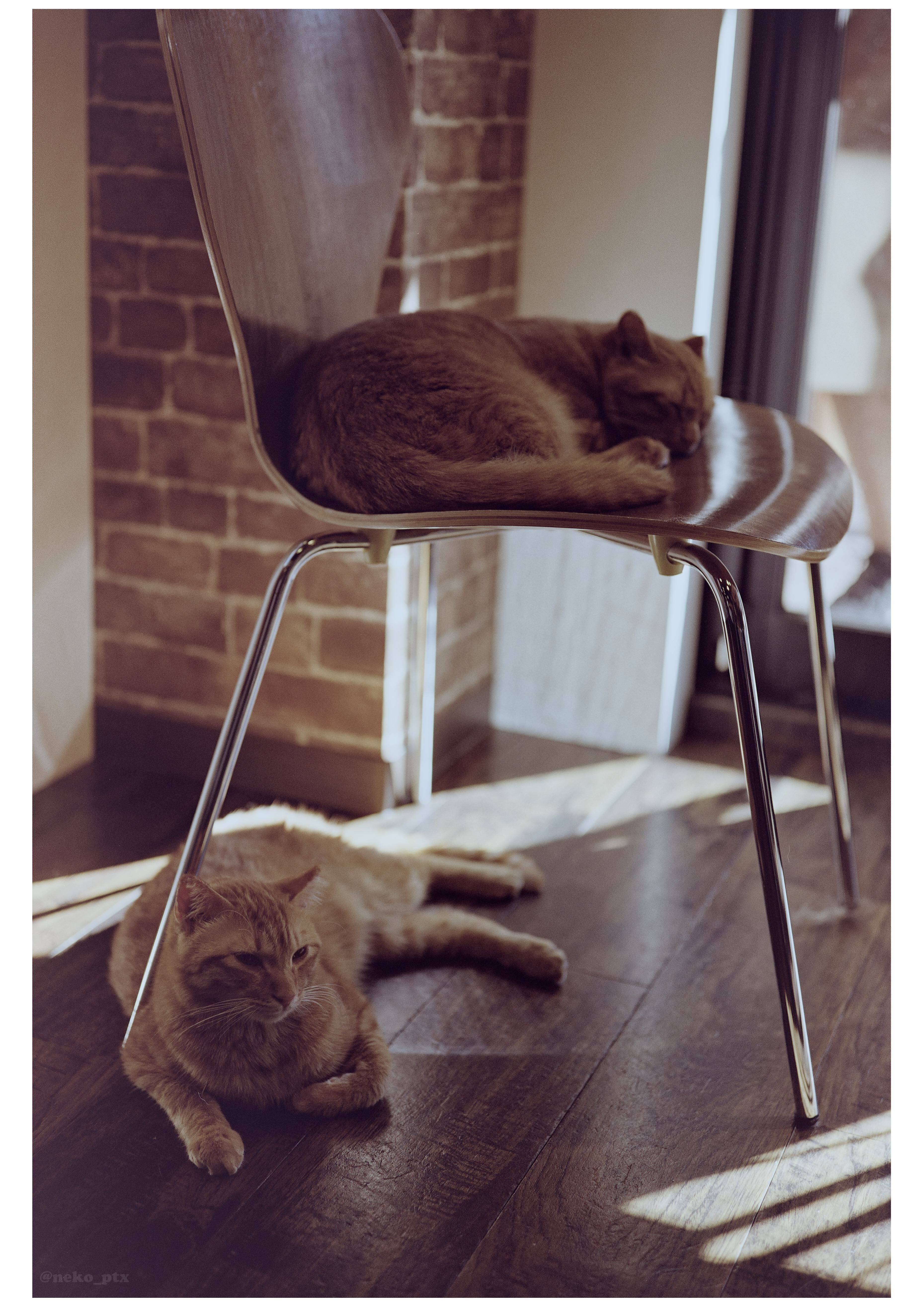 ✮値引きしました！！　FUJI GSW690　Ⅲ　 Pro　6x9　とてもキレイ FUJIFILM（フジフイルム）GW690シリーズサンライズカメラ公式ブログ